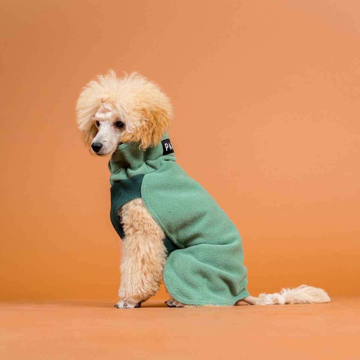 PAIKKA Hundepullover Hunde Pullover "Seawool Shirt" green