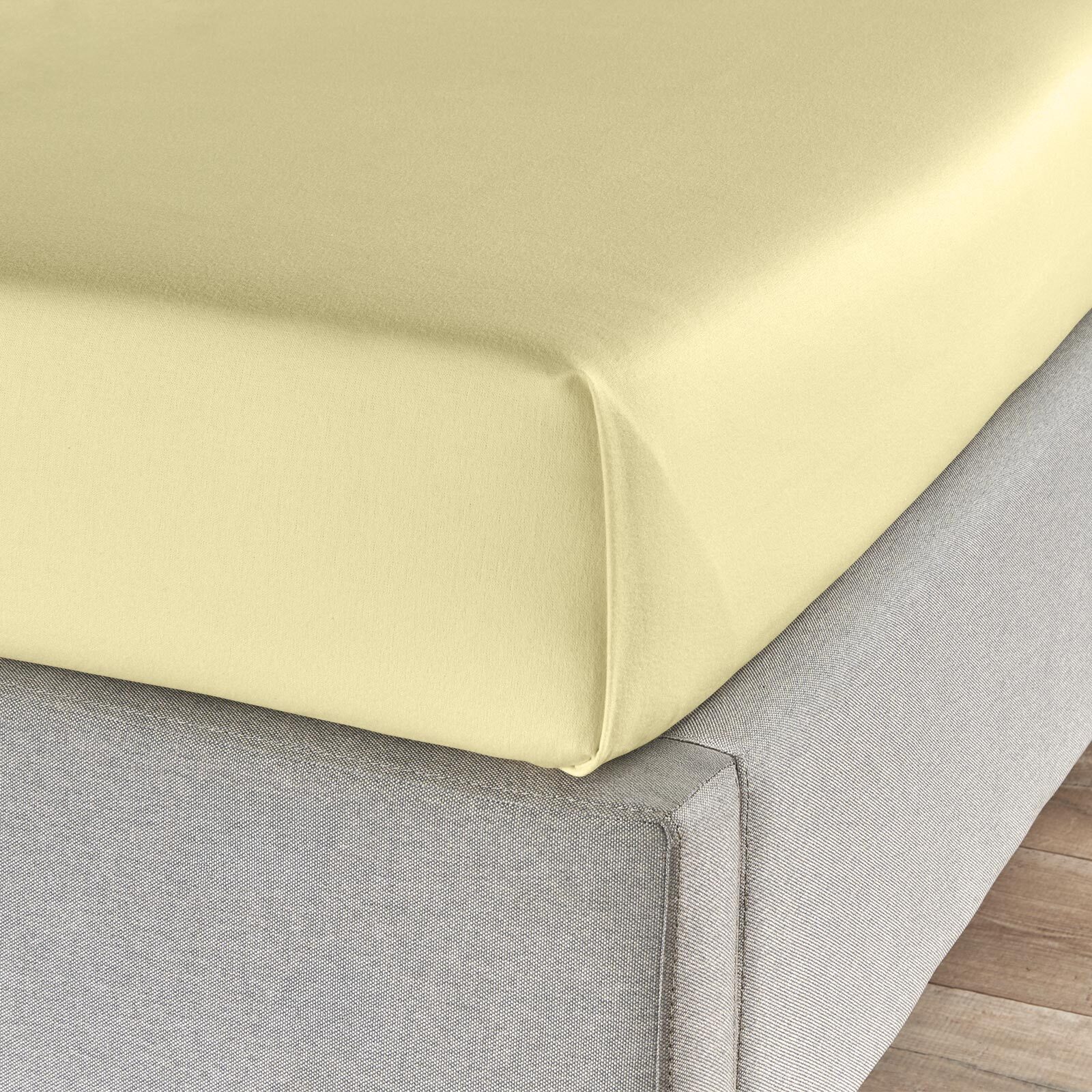 TRAUMSCHLAF Betttuch Feinbiber Haustuch Bettlaken, Biber, Gummizug: ohne Sp günstig online kaufen