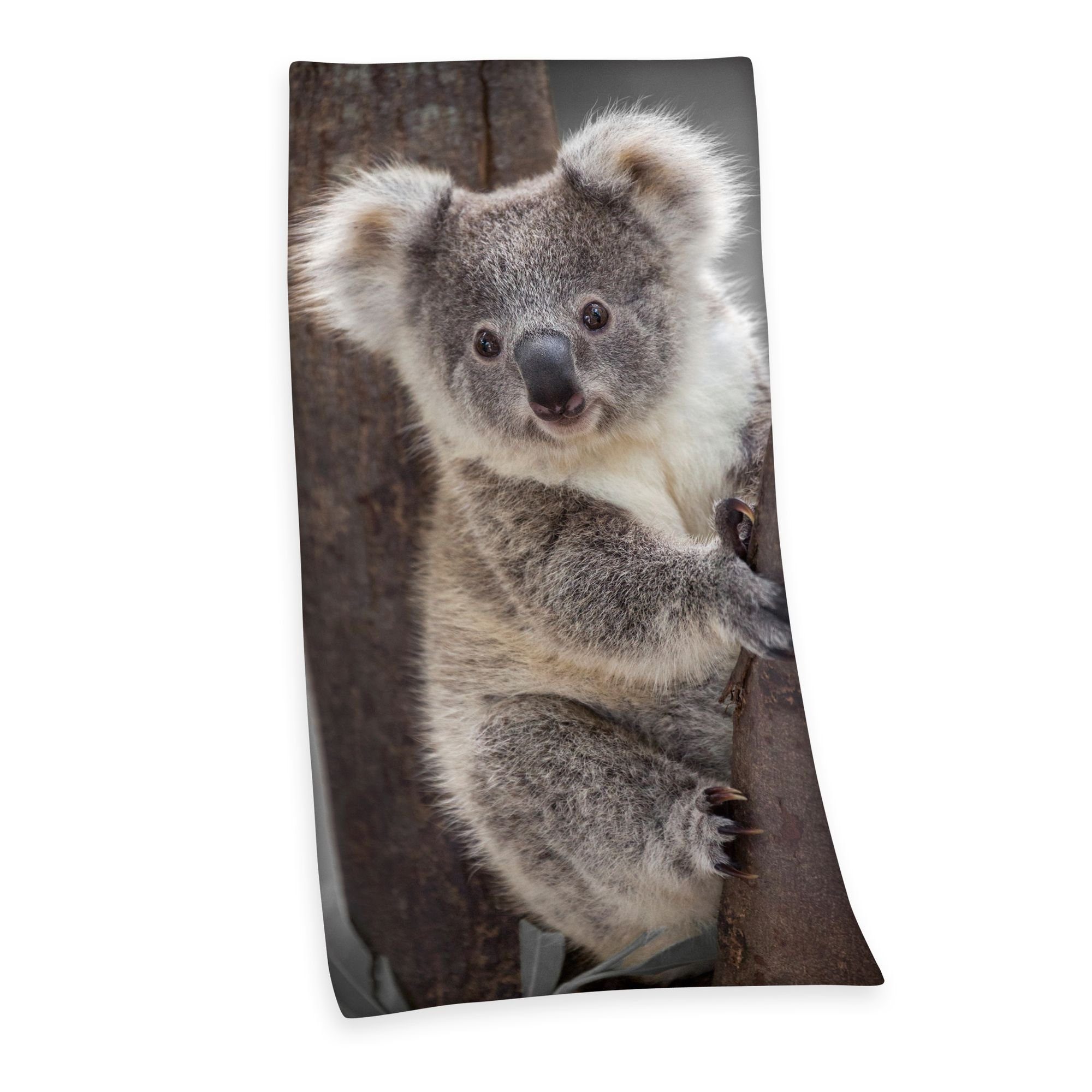 Herding Handtücher Velourstuch Duschtuch Badetuch Strandtuch mit Koala 75 x 150cm, (1 Duschtuch, 1-St), Langlebig