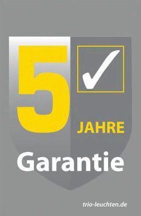 Reality Leuchten Deckenleuchte Leavy, ohne Leuchtmittel, warmweiß - kaltweiß, Deko Deckenlampe Blatt Design schwarz-gold, exkl 1xE27 max 28W, Ø 38cm