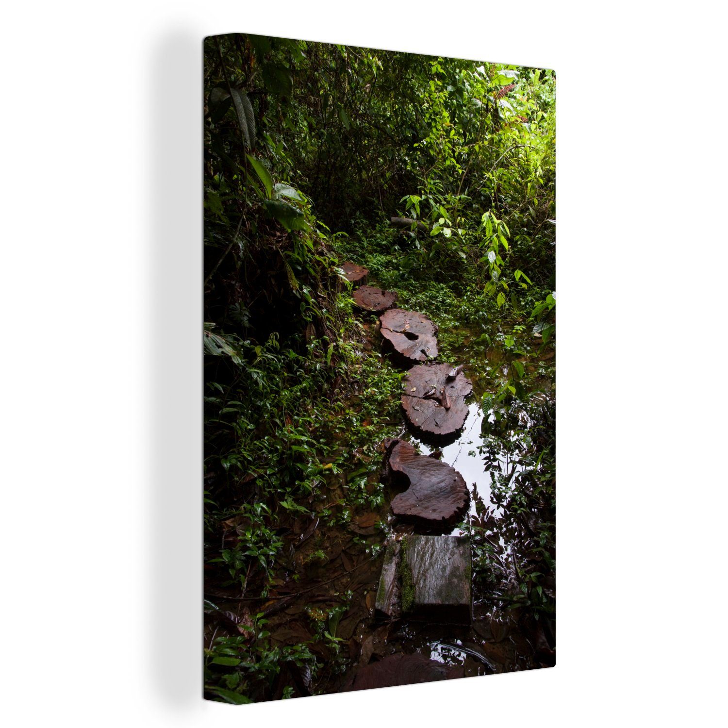 OneMillionCanvasses® Leinwandbild Fernstraße über einen Bach im Manu-Nationalpark, Peru, (1 St), Leinwandbild fertig bespannt inkl. Zackenaufhänger, Gemälde, 20x30 cm