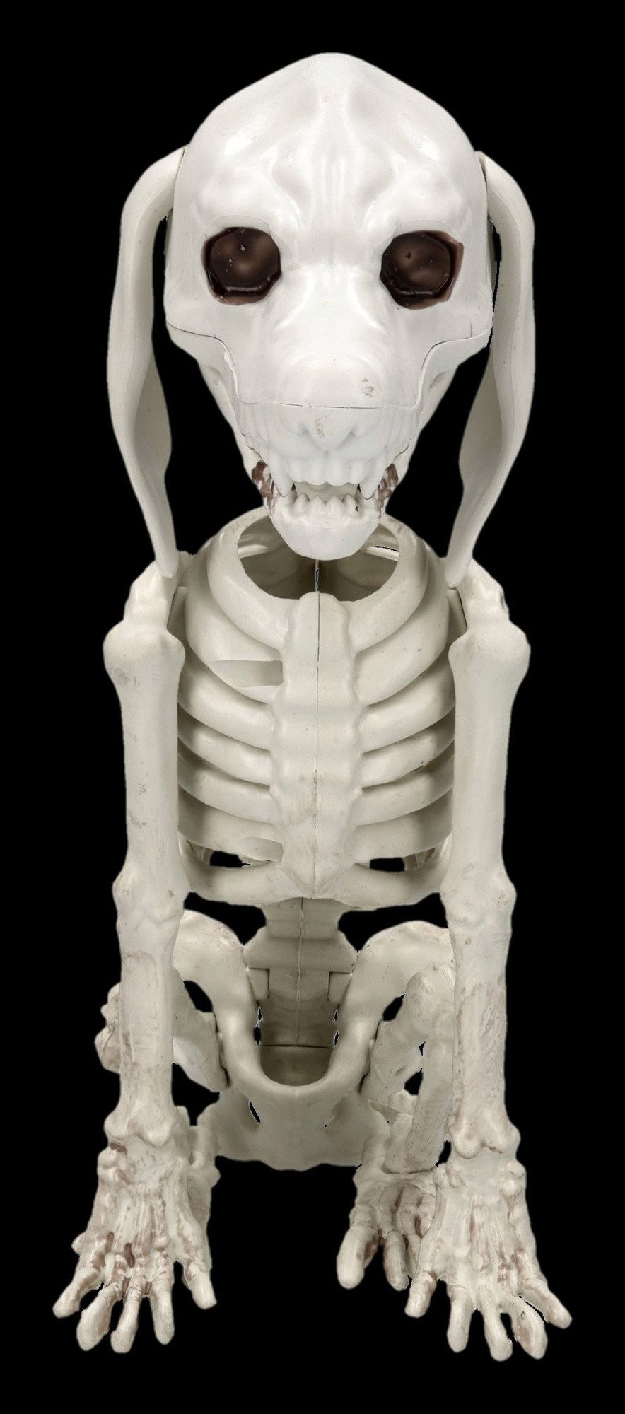 Figuren Shop GmbH Dekofigur Hundeskelett Figur günstig online kaufen