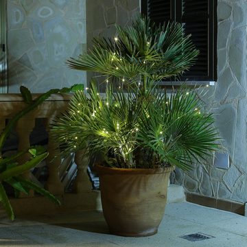 MARELIDA LED-Lichterkette LED Draht Lichtbündel Pflanzenbeleuchtung Blumenstrauß 10 Stränge 80cm, 60-flammig
