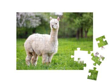 puzzleYOU Puzzle Alpaka mit Jungtier, südamerikanisches Säugetier, 48 Puzzleteile, puzzleYOU-Kollektionen Alpakas, Exotische Tiere & Trend-Tiere