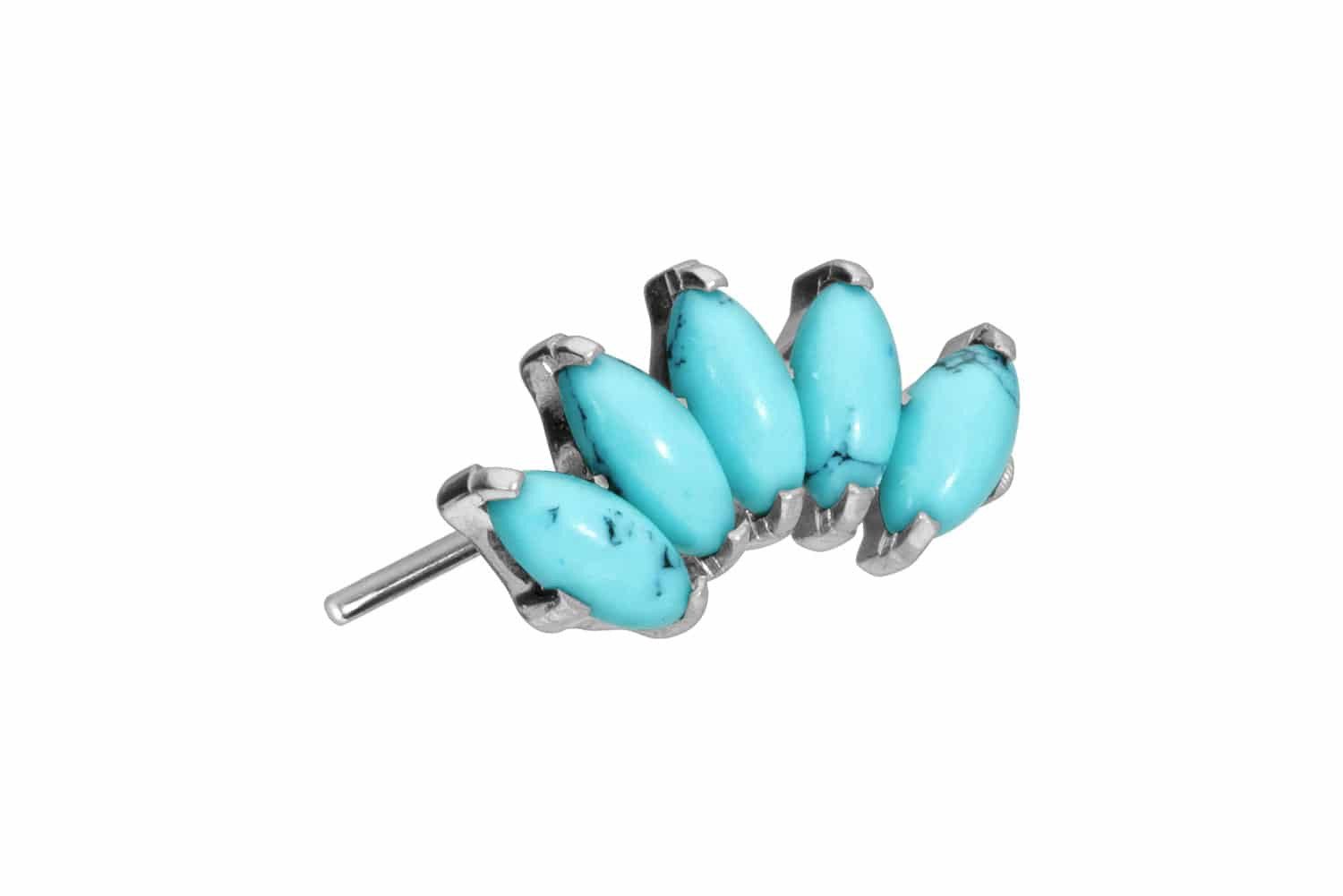 PIERCINGLINE Piercing-Set Titan Aufsatz mit Push günstig online kaufen