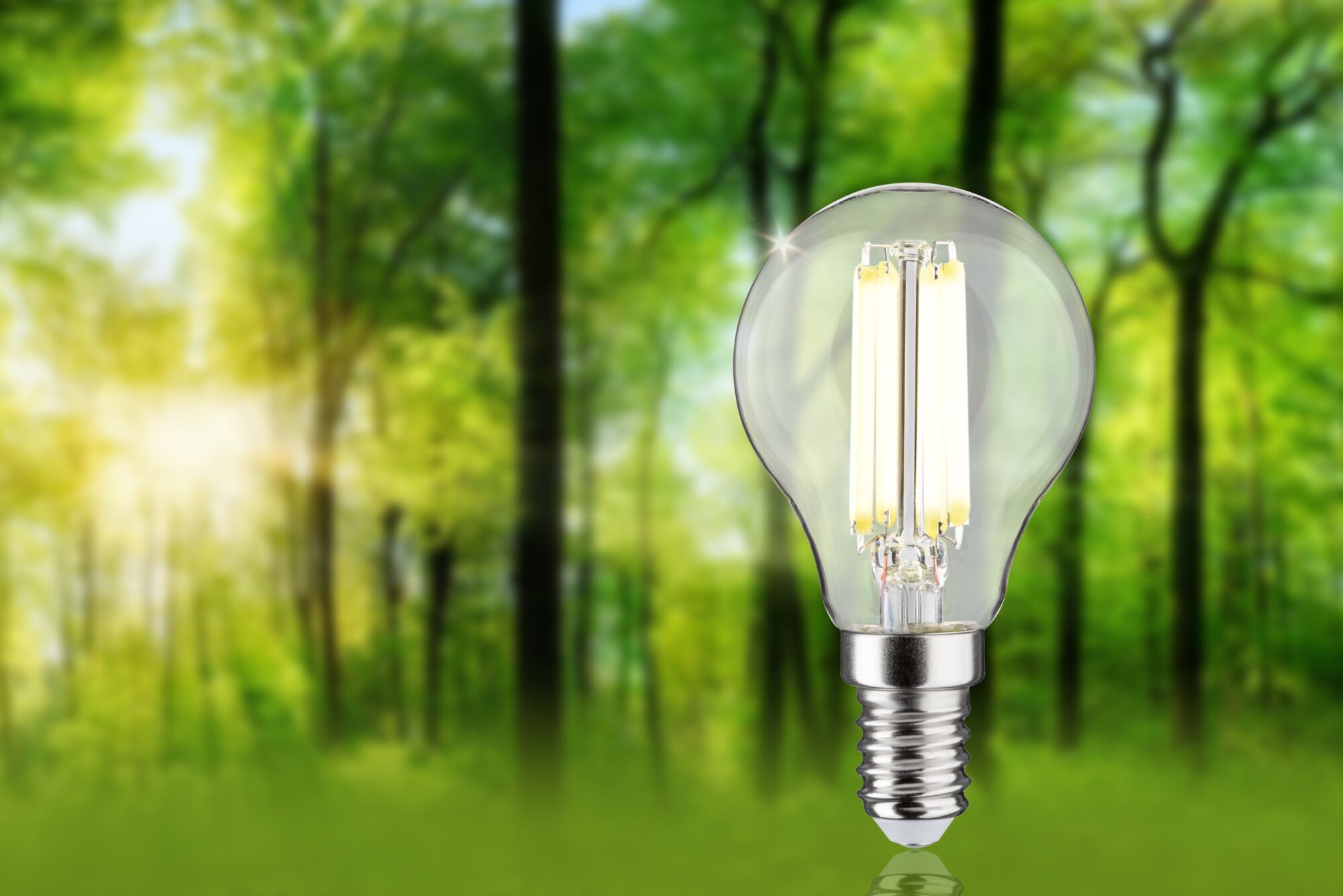 Paulmann LED-Leuchtmittel Eco-Line Filament 230V LED Tropfen E14 1er-Set 52 günstig online kaufen