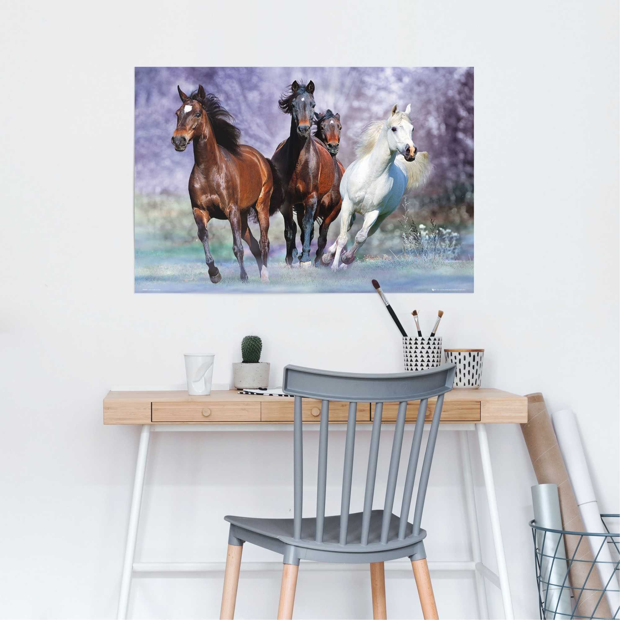 Reinders! Poster »Pferde Tier - Galopp - Pferd Schimmel - Pferd Braun«, (1 Stück)-HomeTrends