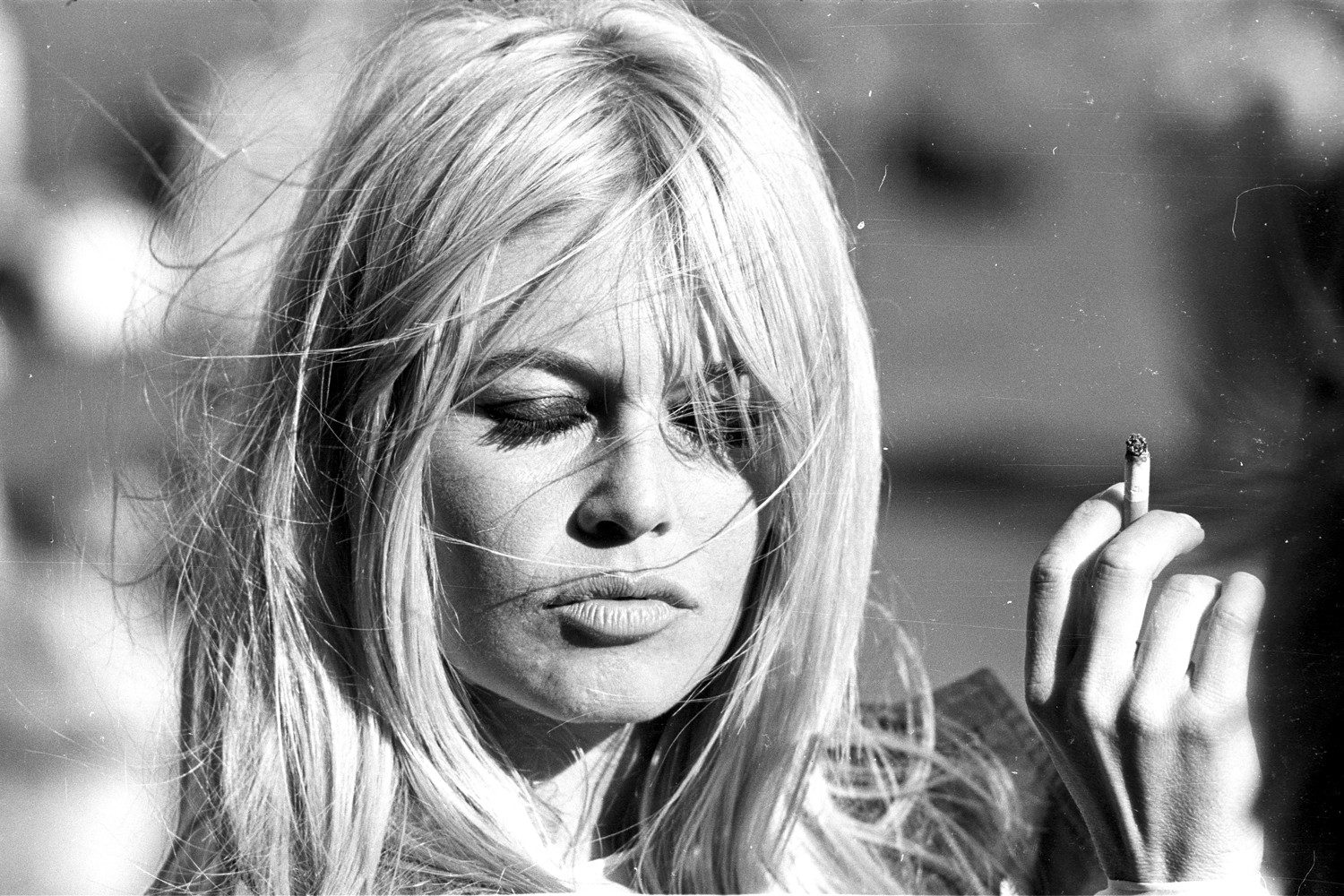 queence Acrylglasbild Brigitte Bardot, Film, Filmfiguren, Filmszene, Foto, günstig online kaufen