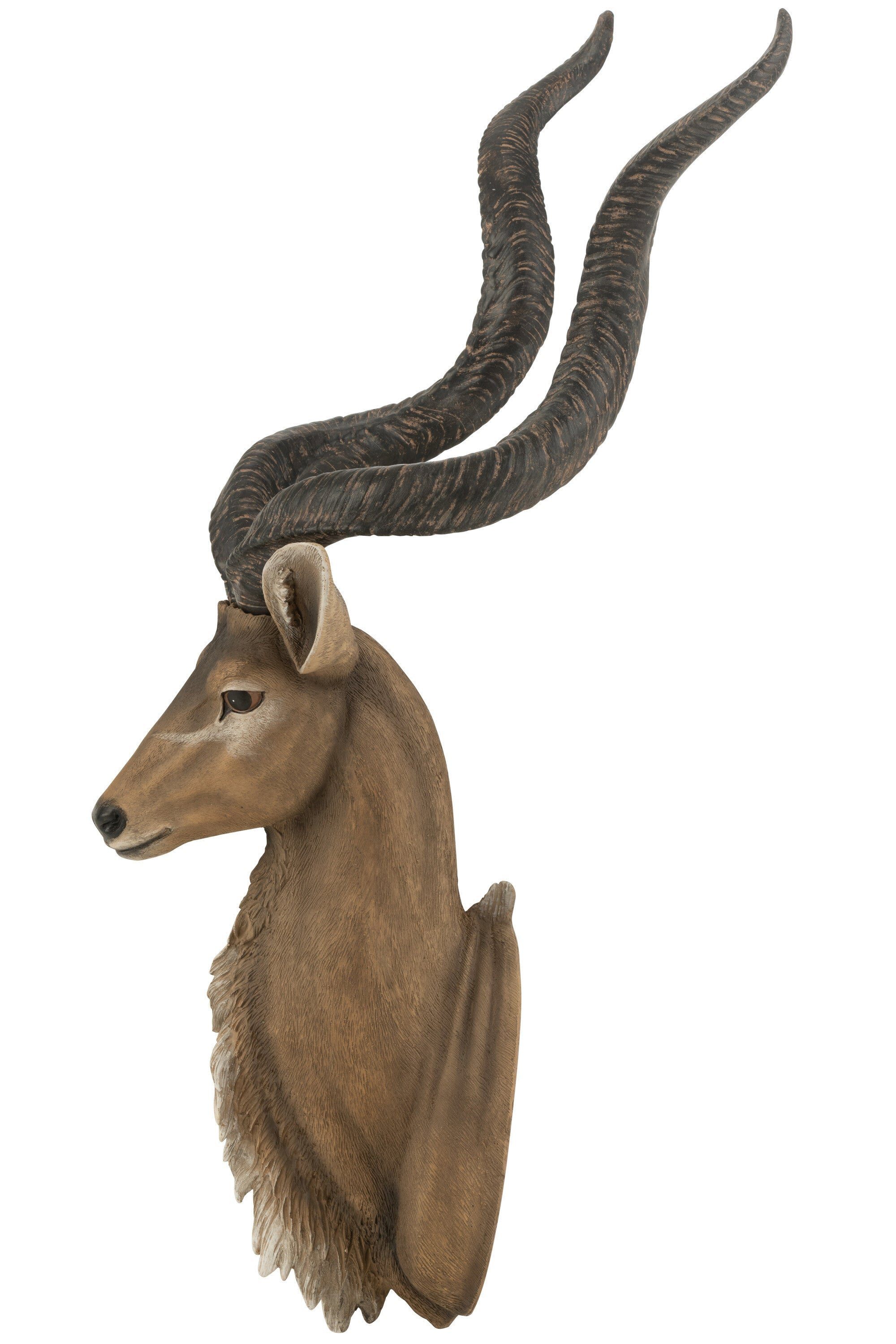 J-line Dekoobjekt Savanna Majoro Wanddekoration Antilopenkopf Braun Poly 85 cm