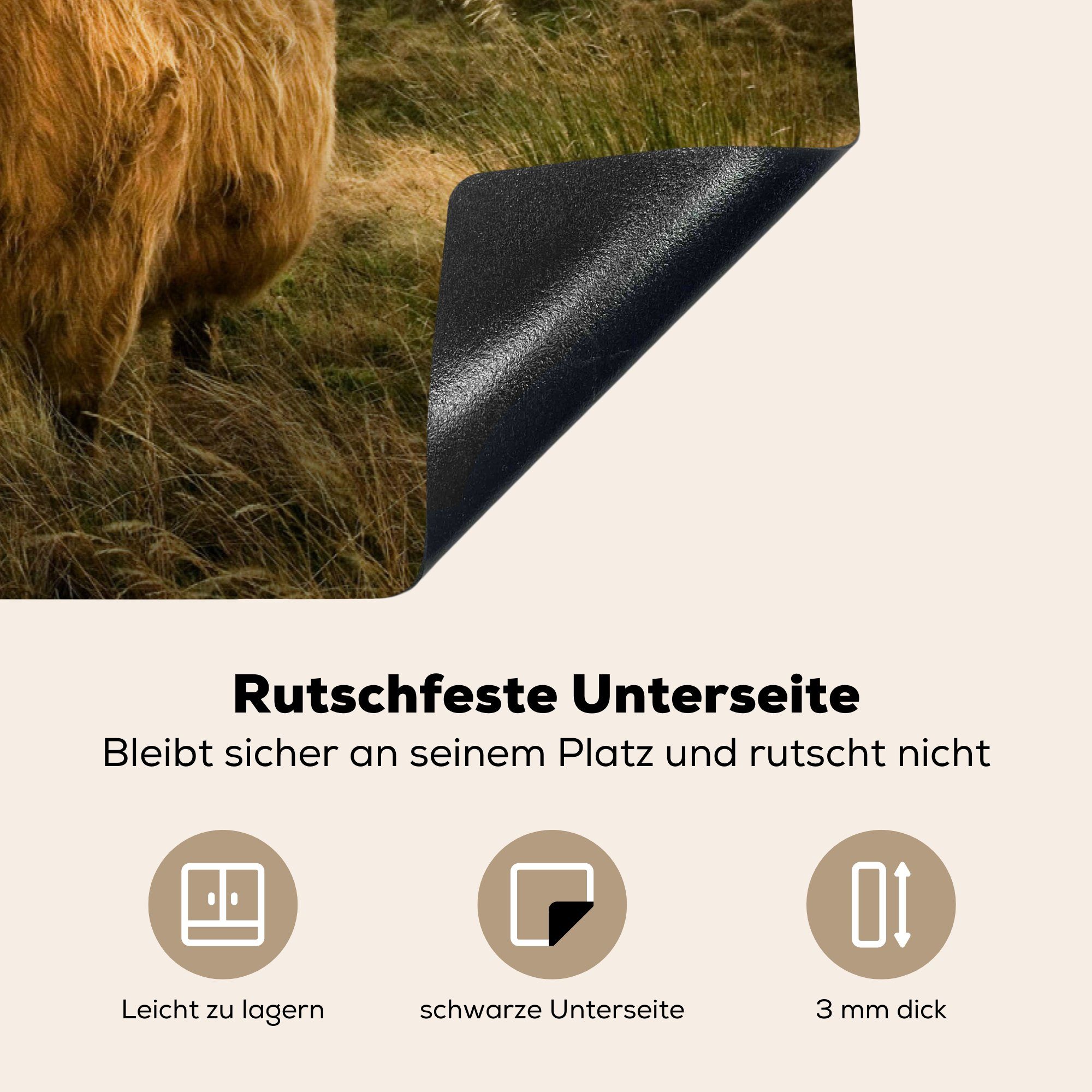 Gras, Hochländer Sonne Vinyl, - Induktionskochfeld küche, Schottischer Schutz die Ceranfeldabdeckung - (1 für 81x52 MuchoWow cm, Herdblende-/Abdeckplatte tlg),