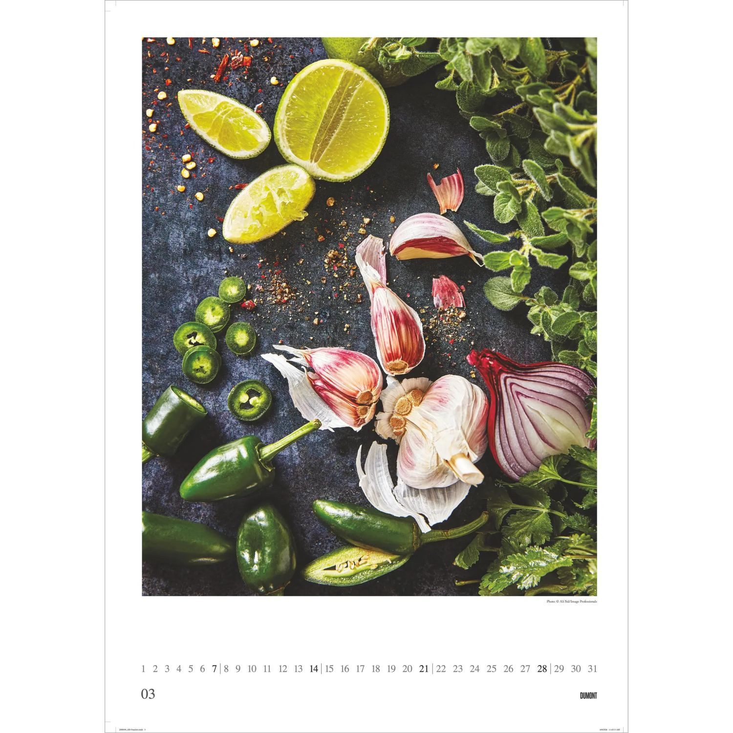 DUMONT Wandkalender Food Art 2027