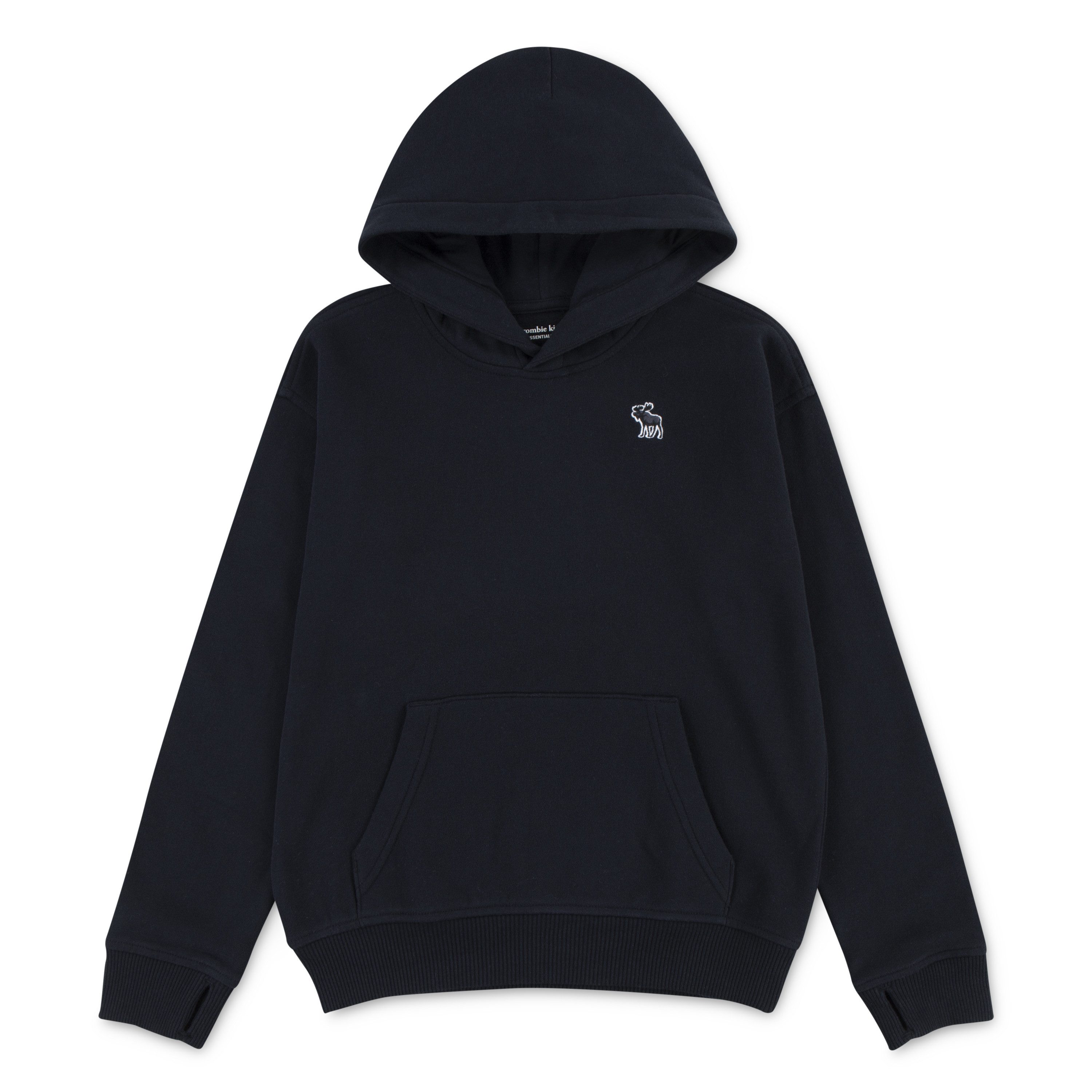 Abercrombie Kids Kapuzensweatshirt AFB ESSENTIALS FLEECE HO mit Logo-Stickerei, for boys