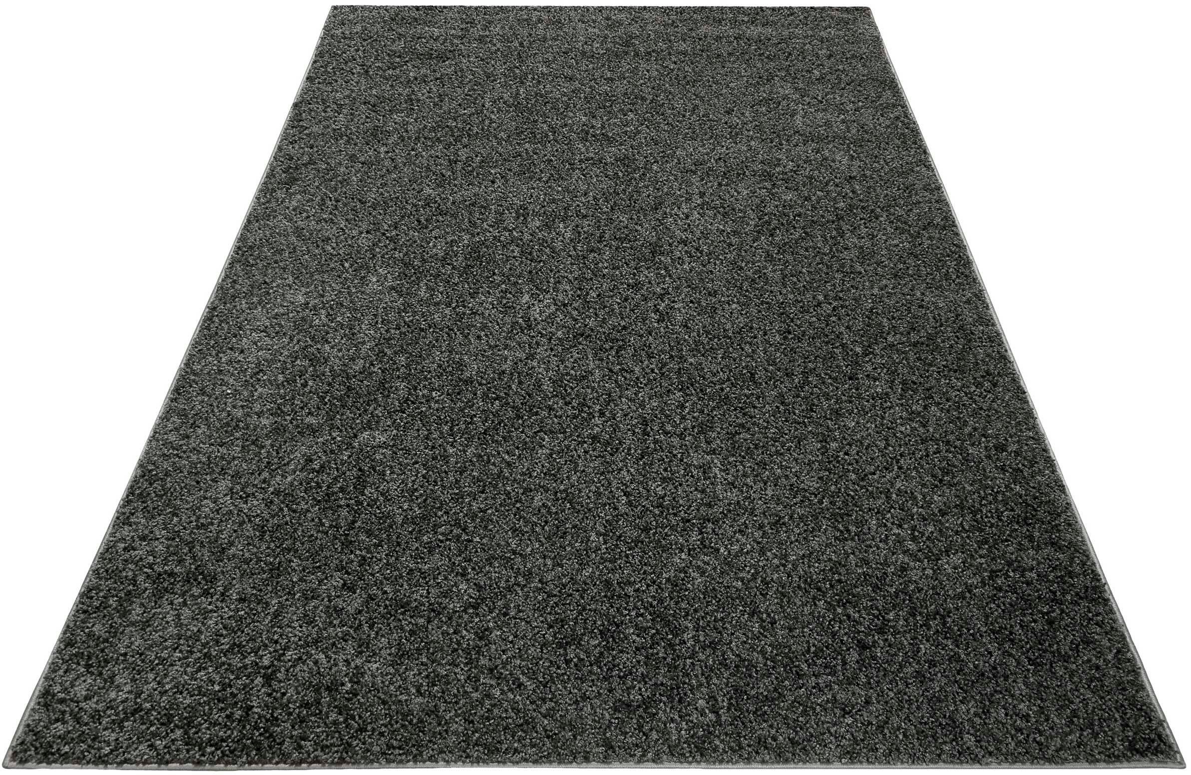 Hochflor-Teppich Whisper Shag ESP-9977
