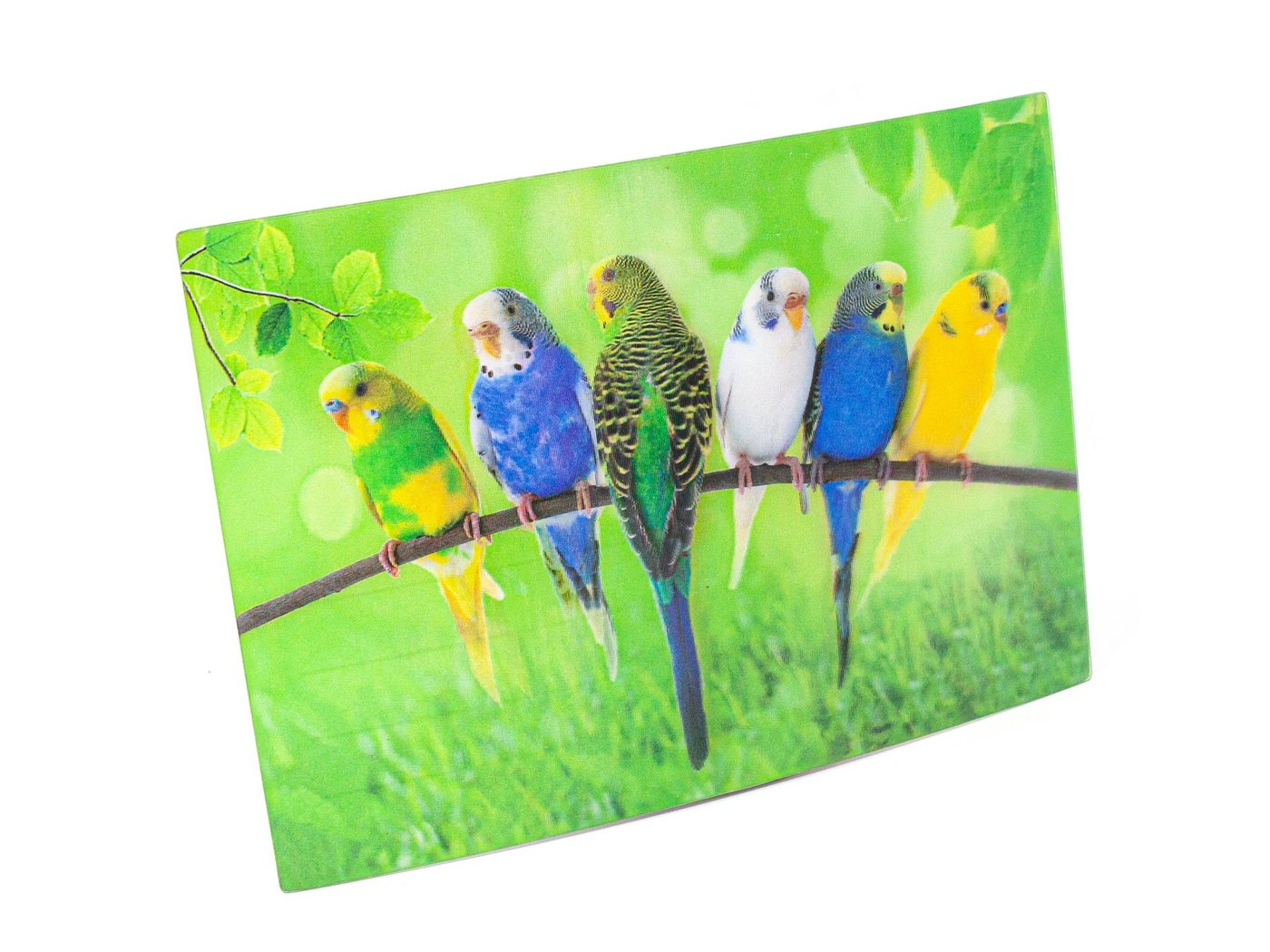 Thumbnail - Cornelißen Postkarte 3D Postkarte Wellensittiche, 3D