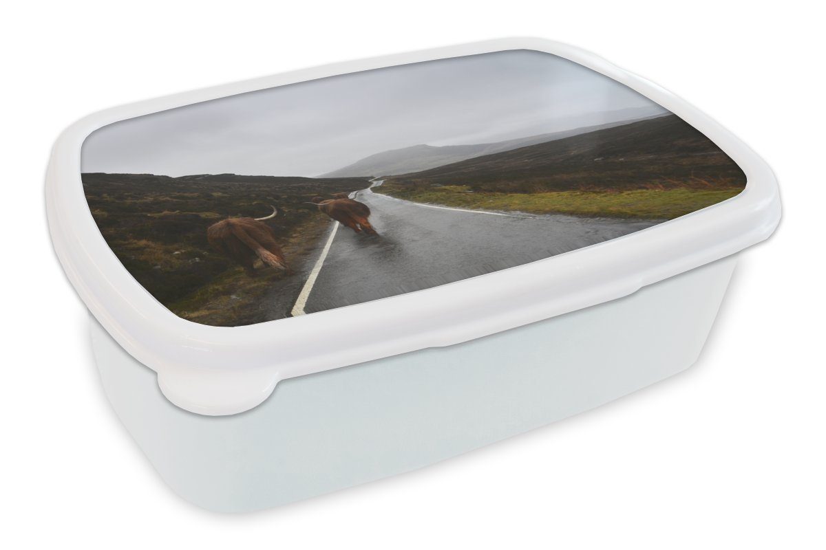 MuchoWow Lunchbox Schottische Highlander - Regen - Berg, Kunststoff, (2-tlg), Brotbox für Kinder und Erwachsene, Brotdose, für Jungs und Mädchen weiß