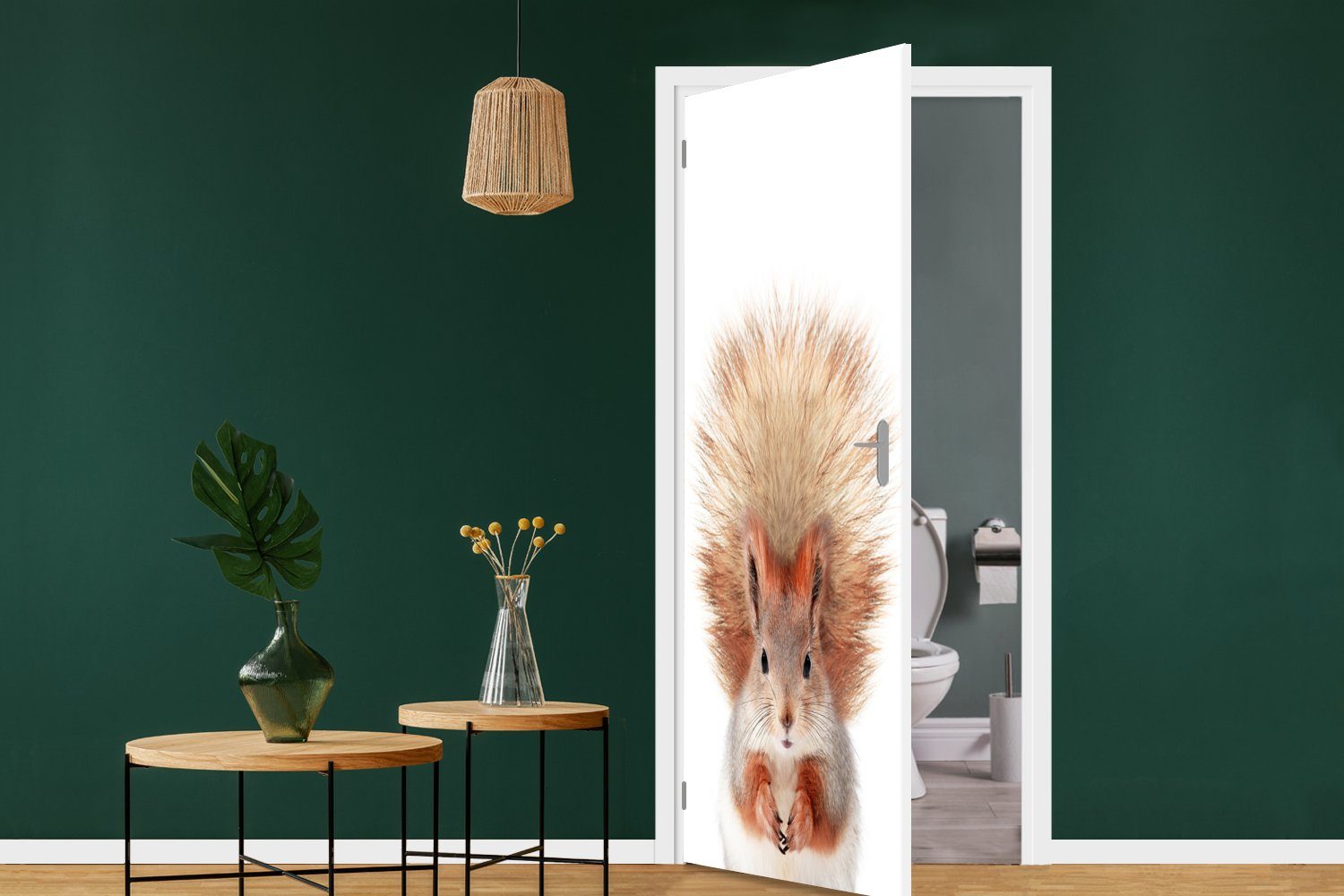 Weiß, - für Orange Matt, Tür, MuchoWow - Natur (1 75x205 - St), Eichhörnchen Türtapete Türaufkleber, Fototapete Tiere bedruckt, - cm