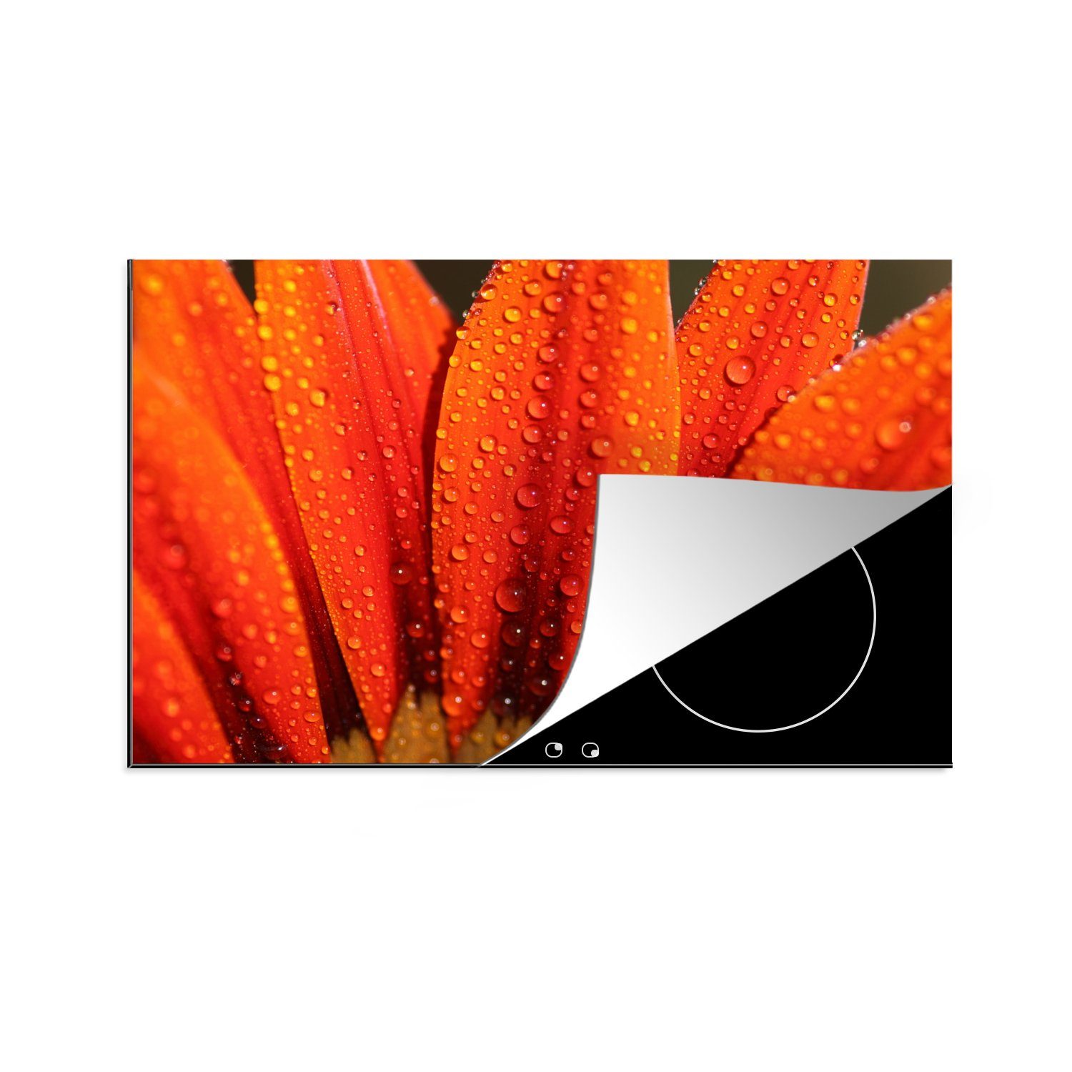 MuchoWow Herdblende-/Abdeckplatte Orangefarbene Blüte mit frühen Tautropfen, Vinyl, (1 tlg), 81x52 cm, Induktionskochfeld Schutz für die küche, Ceranfeldabdeckung