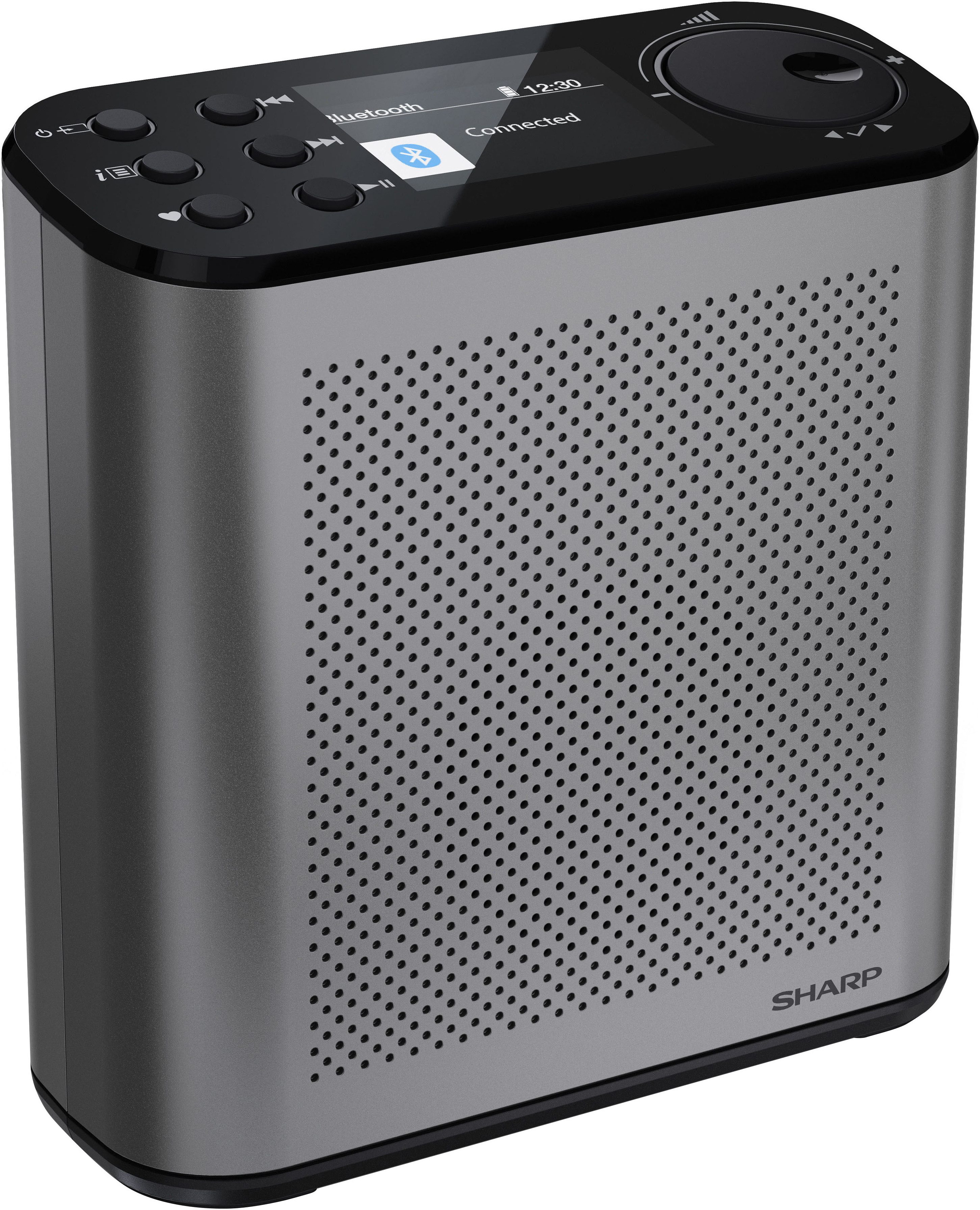 Sharp DR-P530(GY) Digitalradio (DAB) (Digitalradio (DAB), UKW mit RDS)