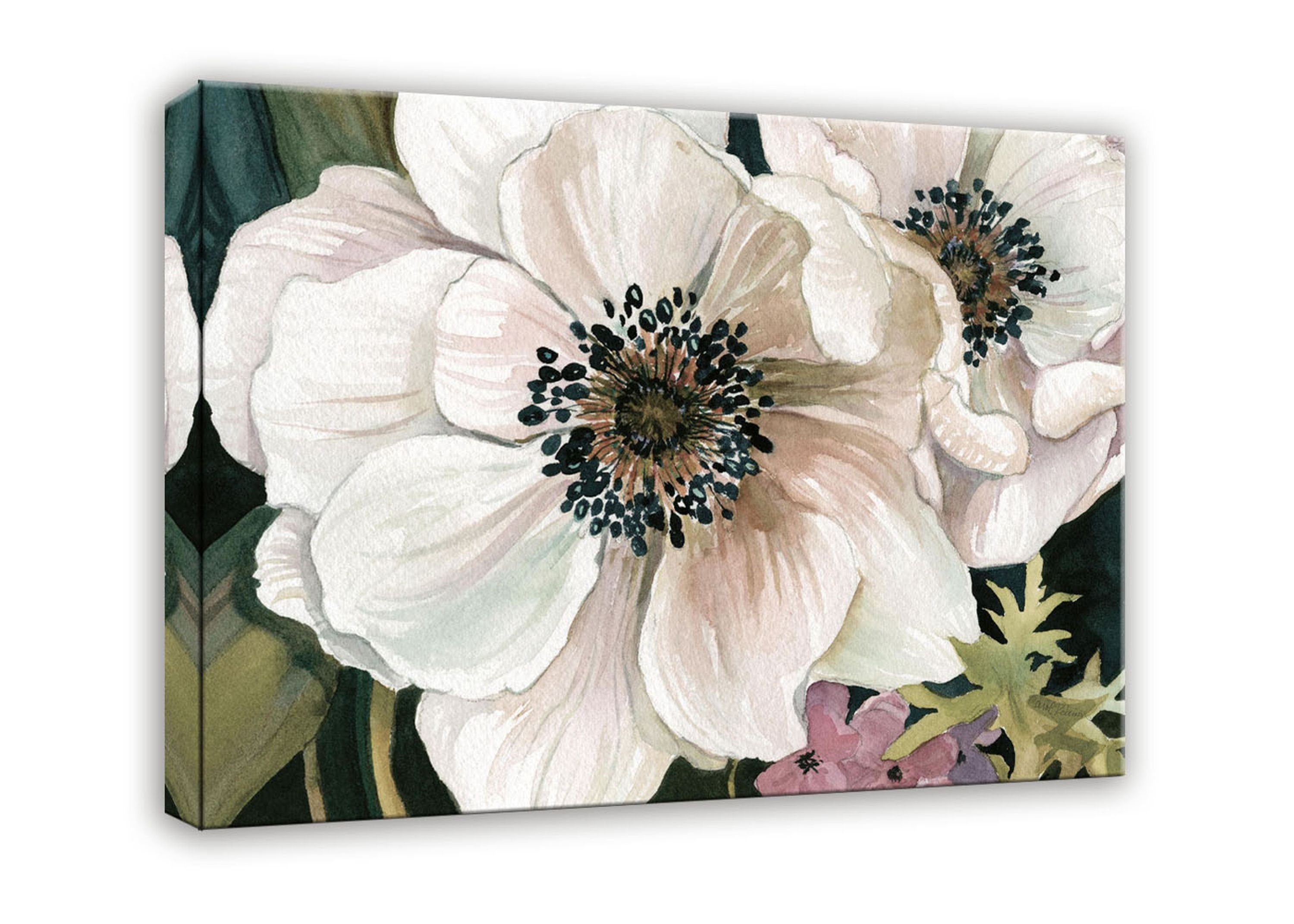 70x50cm artissimo Kunst-Edition Bild Leinwand Blüte, artissimo Robinson: Blume Anemone Aquarell Leinwandbild Study Carol auf I