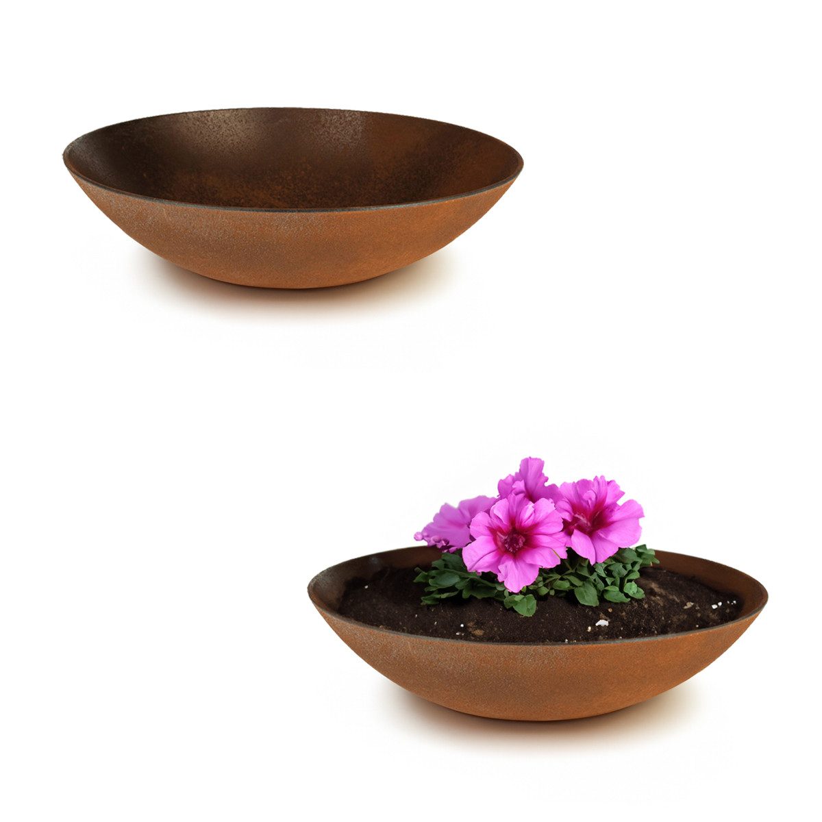 matches21 HOME & HOBBY Blumentopf Pflanzschalen günstig online kaufen