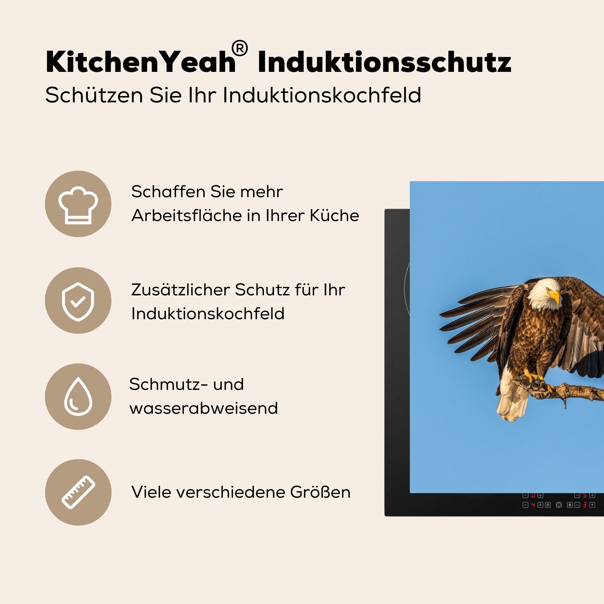 Arbeitsplatte Vogel Herdblende-/Abdeckplatte MuchoWow - für Raubvögel Adler (1 tlg), 77x51 - cm, Ceranfeldabdeckung, küche - - Vinyl, Luft, Äste