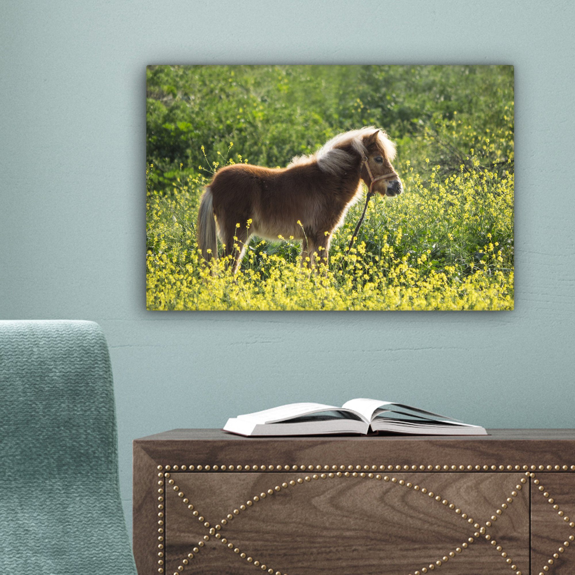 cm Leinwandbilder, Wanddeko, eines Leinwandbild OneMillionCanvasses® auf Porträt Wandbild St), der 30x20 Weide, Aufhängefertig, Ponys (1