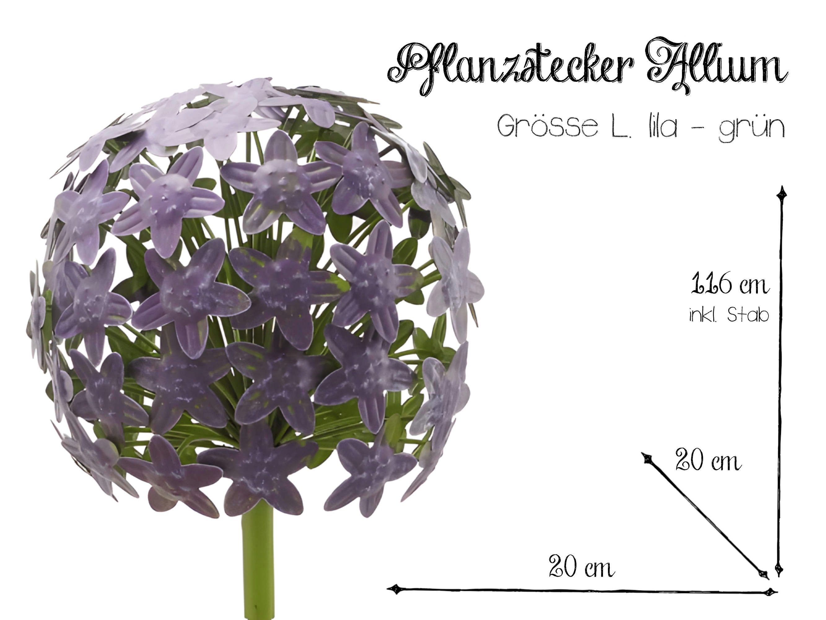 Paulslandhaus Gartenstecker Pflanzstecker Allium Lila Grün Beetstecker Gartenstecker Metall