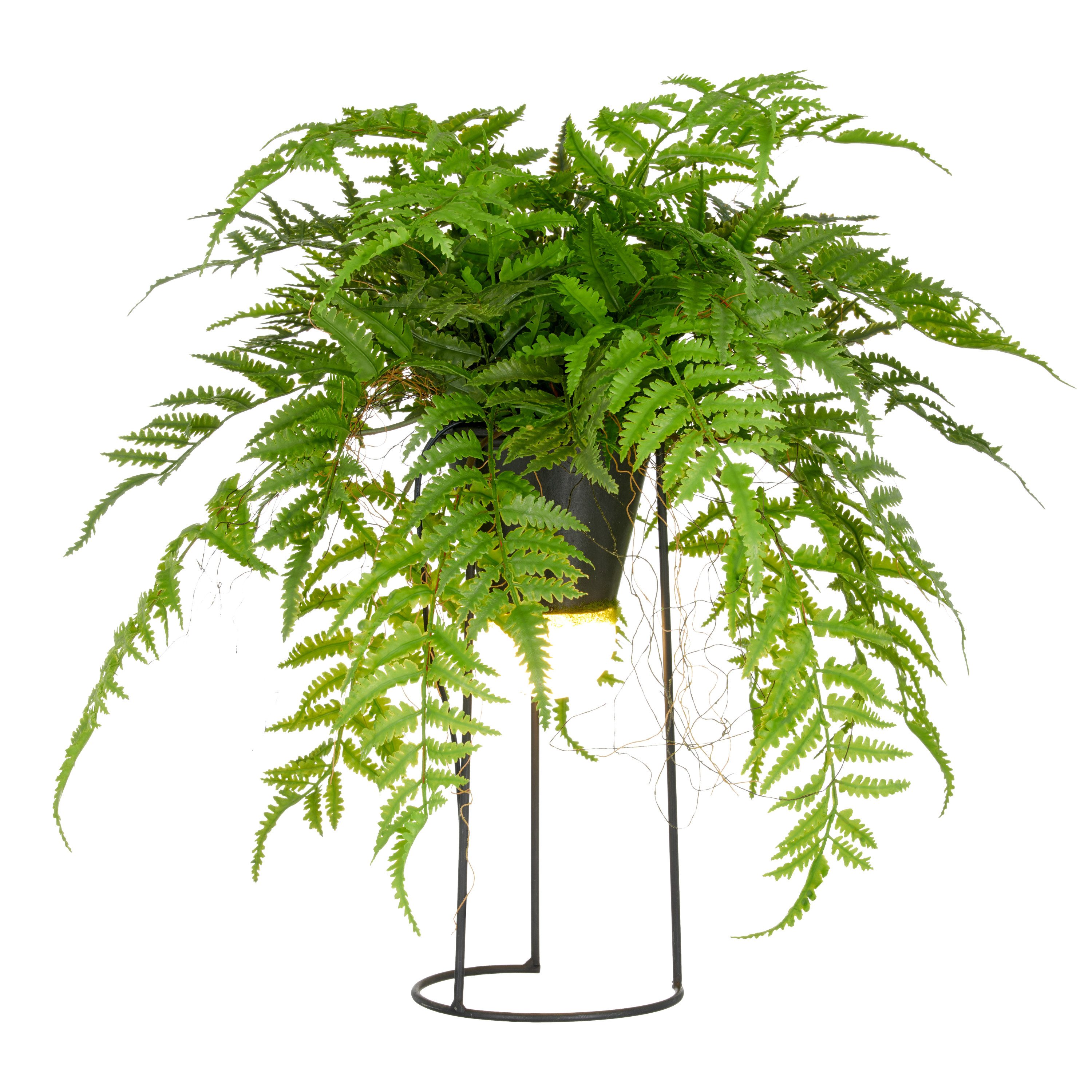 Kunstpflanze Farn als Dekostandleuchte, Creativ green, Höhe 60 cm, mit LED-Beleuchtung