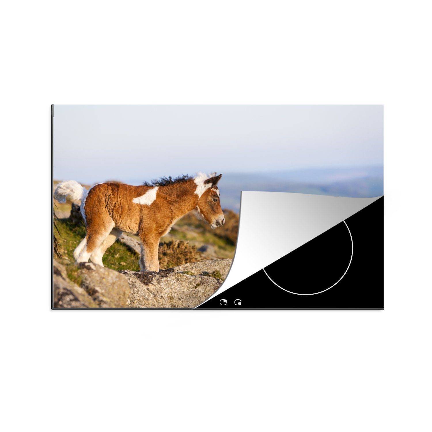 Dartmoor Schutz Gebirge, Fohlen die 81x52 Ceranfeldabdeckung - - Pferde Induktionskochfeld (1 küche, MuchoWow tlg), cm, - Herdblende-/Abdeckplatte Vinyl, für