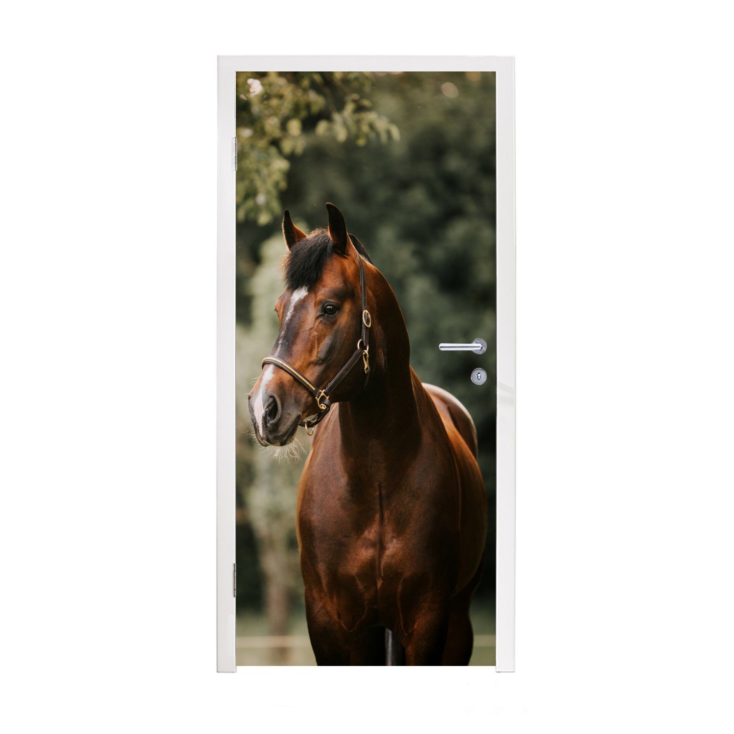 MuchoWow Türtapete Pferd - Äste - Porträt, Matt, bedruckt, (1 St), Fototapete für Tür, Türaufkleber, 75x205 cm