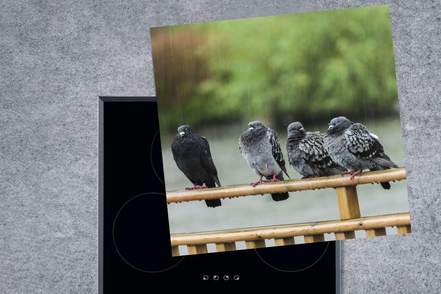 Ceranfeldabdeckung, Herdblende-/Abdeckplatte (1 Vinyl, Tauben Regen tlg), Arbeitsplatte - Vögel, küche 78x78 für cm, - MuchoWow