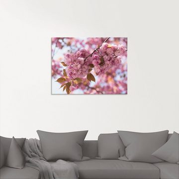 Artland Glasbild Japanische Kirschblüte in Love I, Blumen (1 St), in verschiedenen Größen