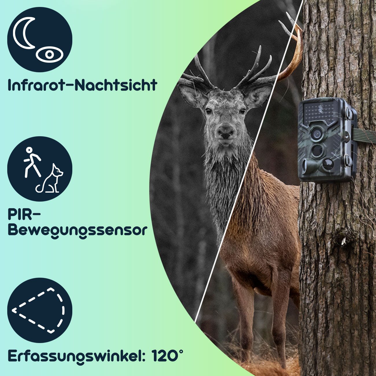 Casativo Wildkamera Full-HD-Wildkamera 24 MP mit 3 Bewegungssensoren, Farbdisplay (1-tlg., Nachtsicht, Serienbild- & Zeitraffer-Funktion)