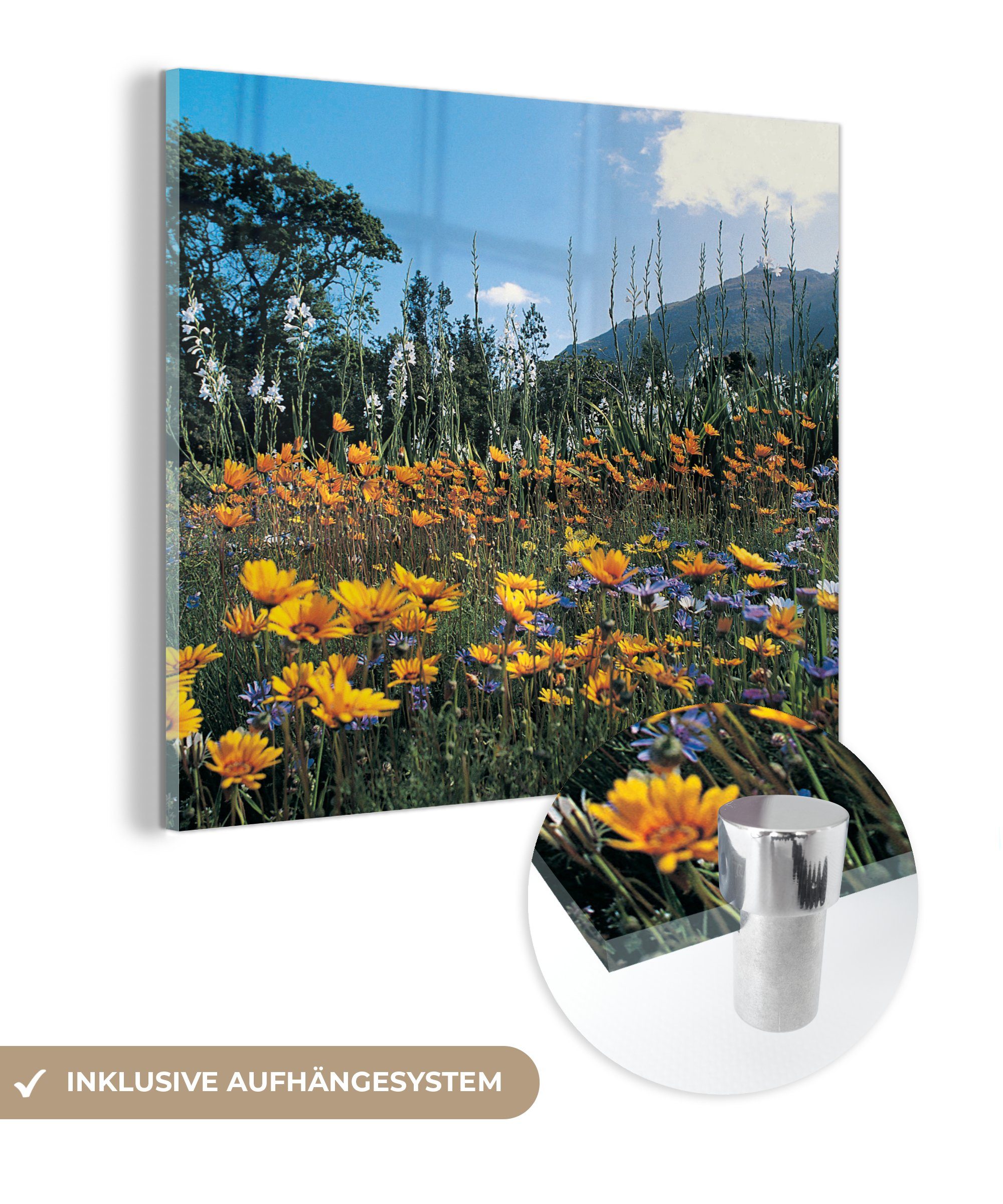 Wandbild - Bilder - Foto - Wanddekoration MuchoWow auf auf Glas Blumen Acrylglasbild Farbe, - St), Glasbilder - (1 Glas Natur