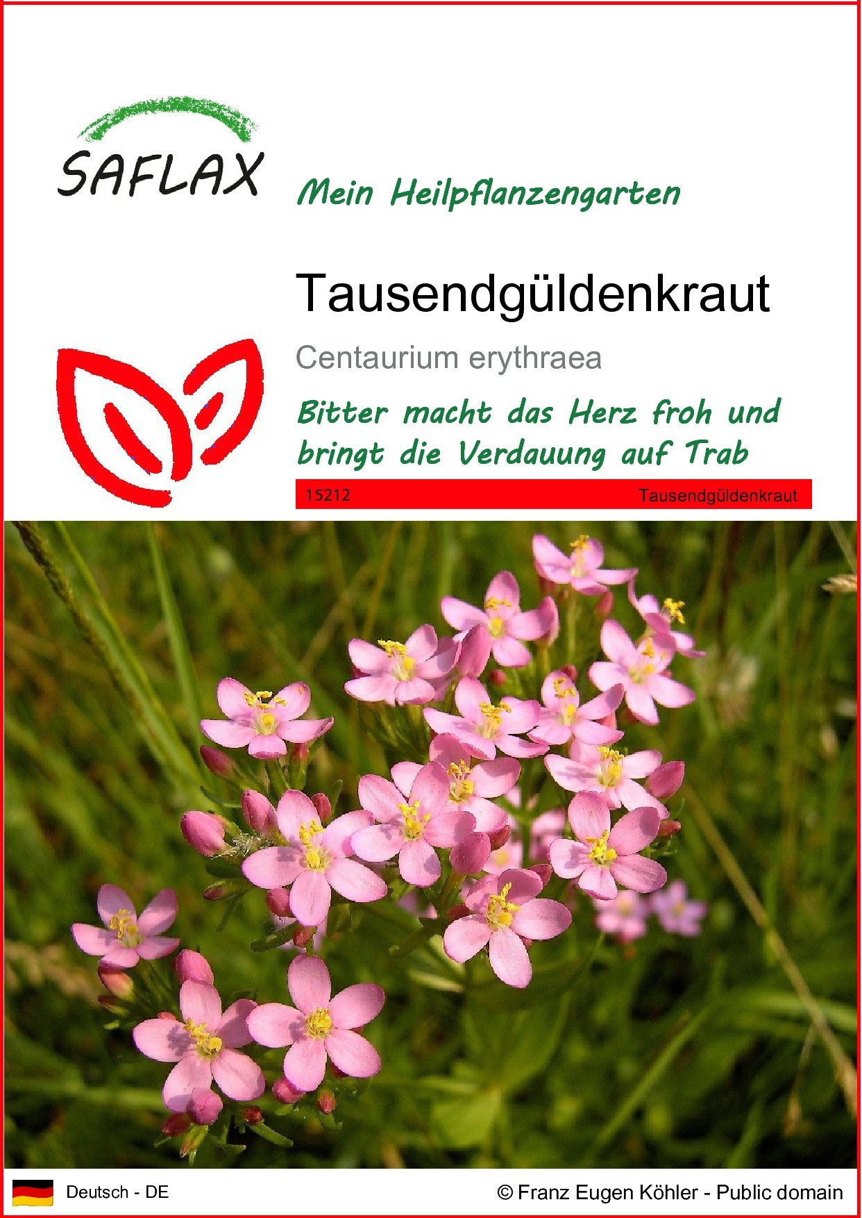 SAFLAX Blumensamen SAFLAX - Samen - Tausendgüldenkraut