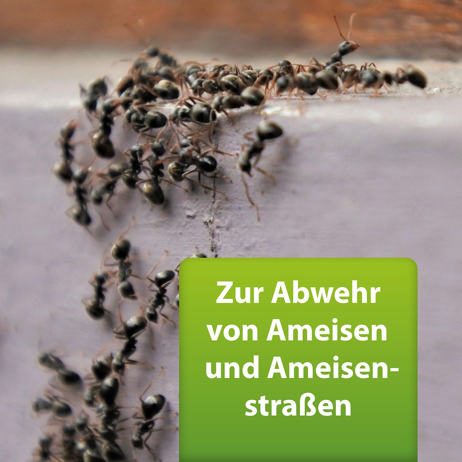 Ardap Insektenspray ARDAP Repell Ameisenspray 400 ml
