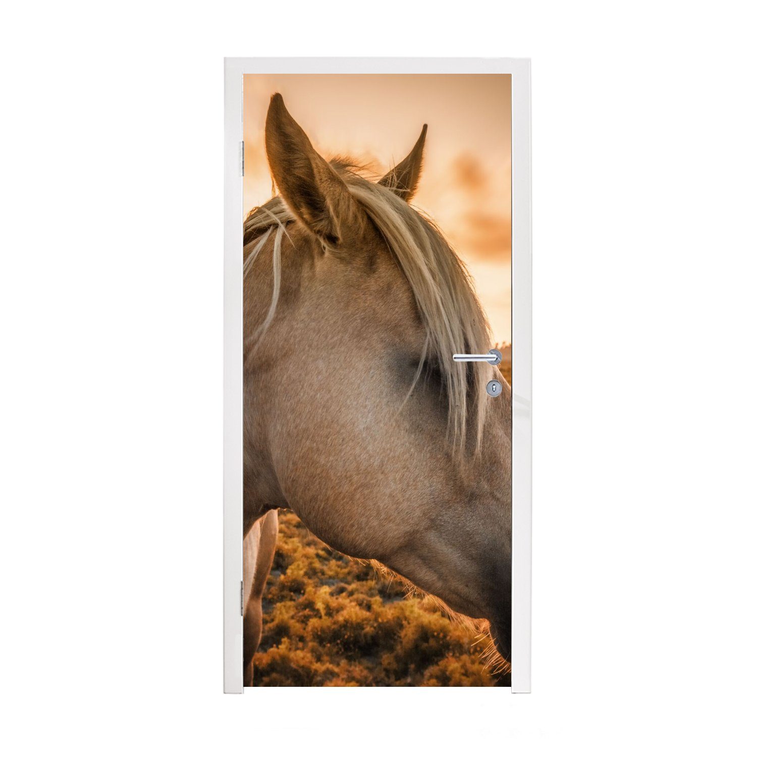 St), für bedruckt, Fototapete Pferd Porträt, - MuchoWow cm Türtapete (1 Tiere 75x205 - Tür, Türaufkleber, Matt,