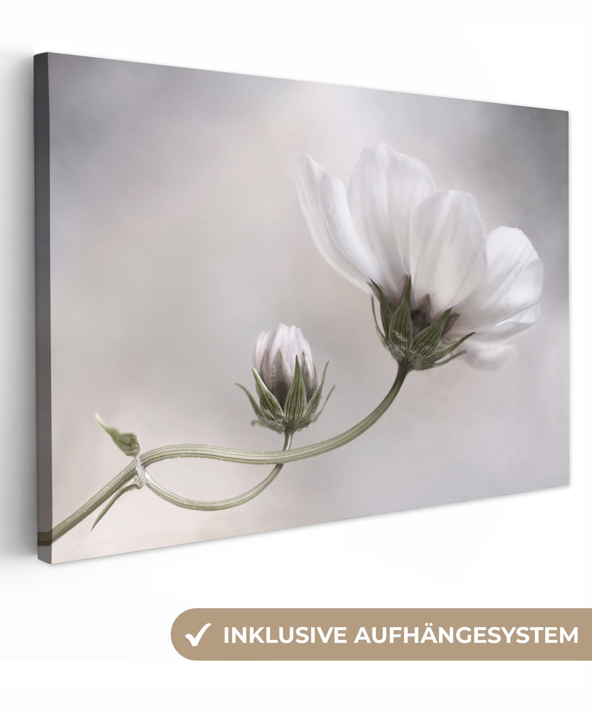 OneMillionCanvasses® Leinwandbild Blumen - Stillleben - Natur - Grau, Fotodruck (1 St), Leinwand Bilder Klein, Wand Dekoration Aesthetic 30x20 cm