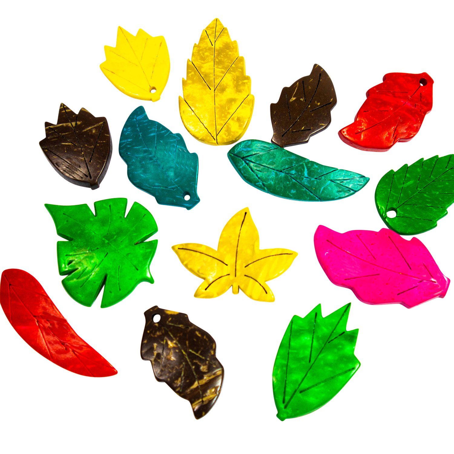EDUPLAY Experimentierkasten Blätter aus Kokosnussschalen bunt