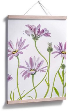 Wall-Art Poster Gänseblümchen, Blumen (1 St), Poster ohne Bilderrahmen