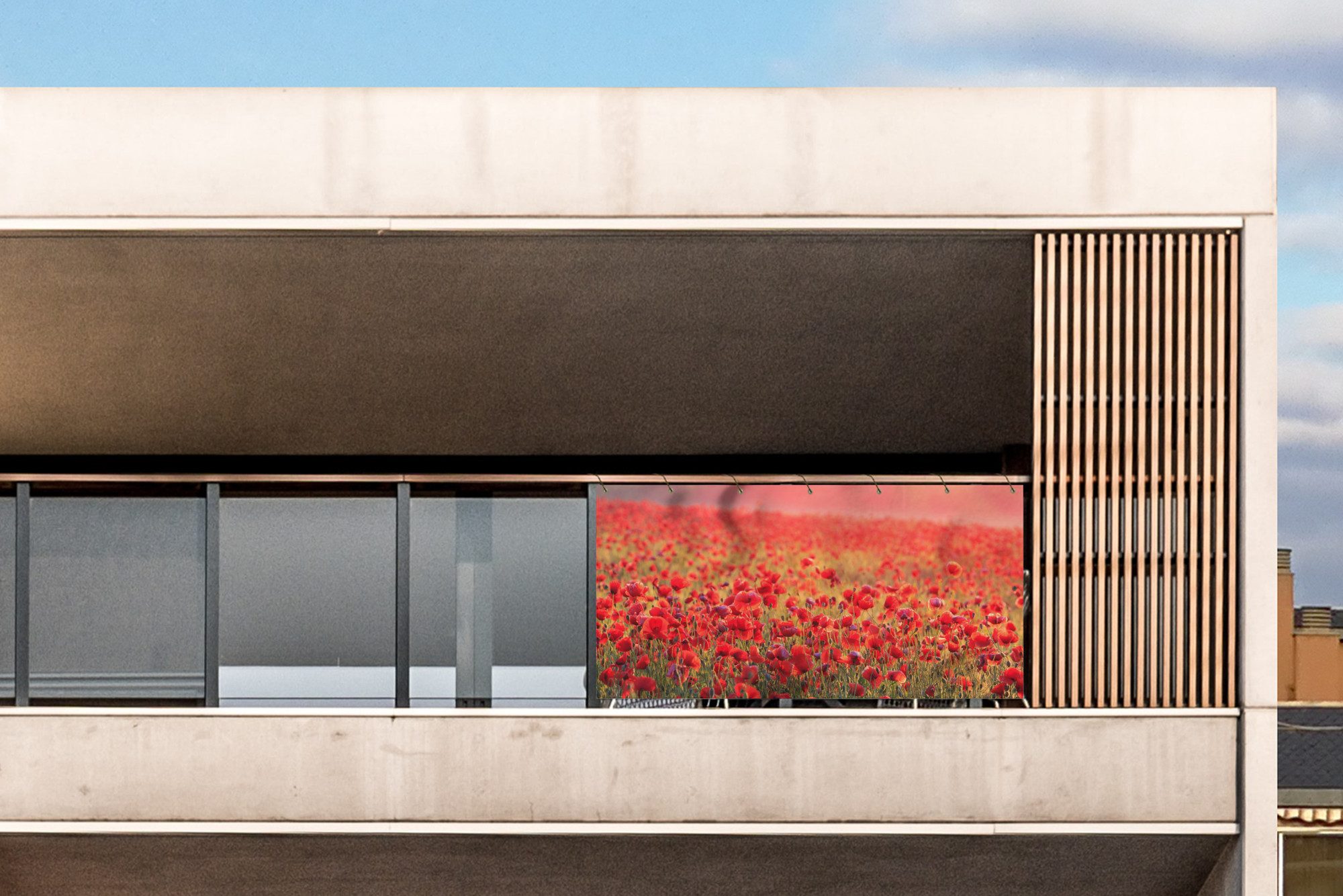 MuchoWow Balkonsichtschutz Blumen - Mohn - günstig online kaufen