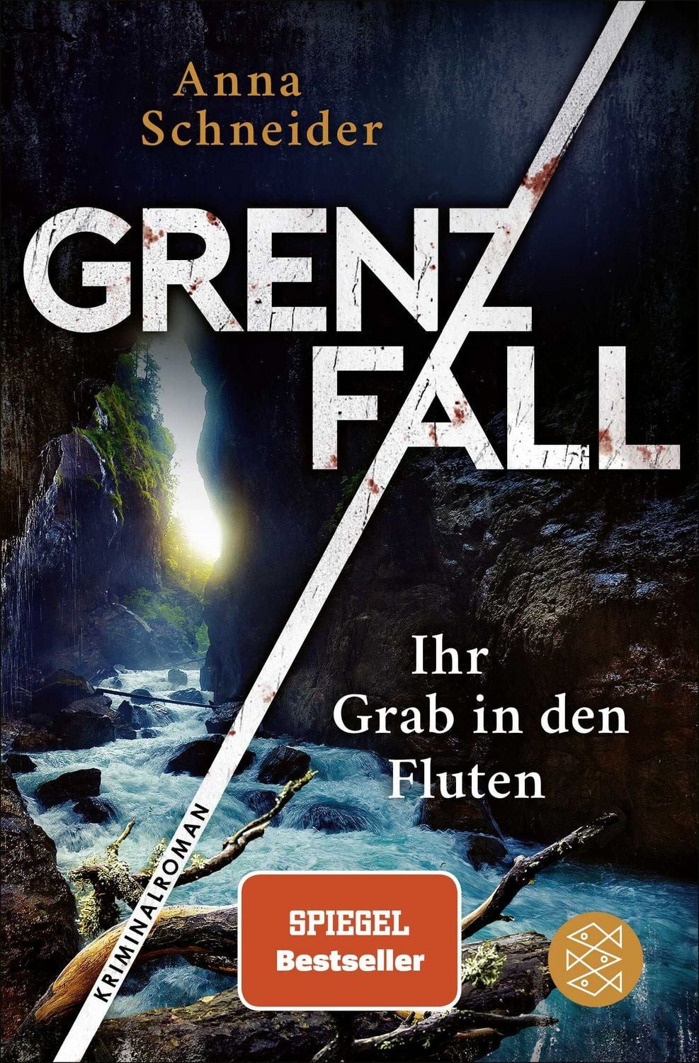 Grenzfall – Ihr Grab in den Fluten / Anna Schneider