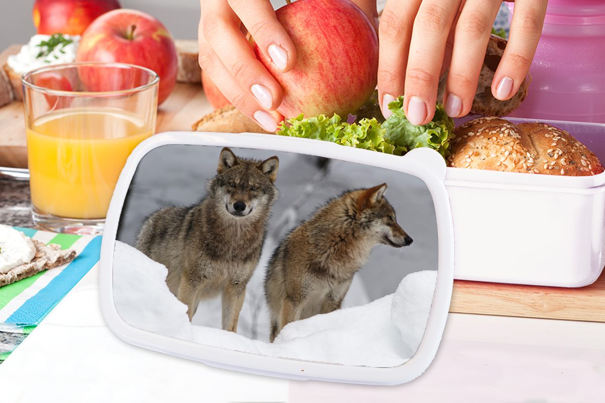 Erwachsene, weiß Jungs - Tiere, Kunststoff, Brotbox Wolf Brotdose, für Lunchbox Schnee und für - und (2-tlg), Mädchen MuchoWow Kinder