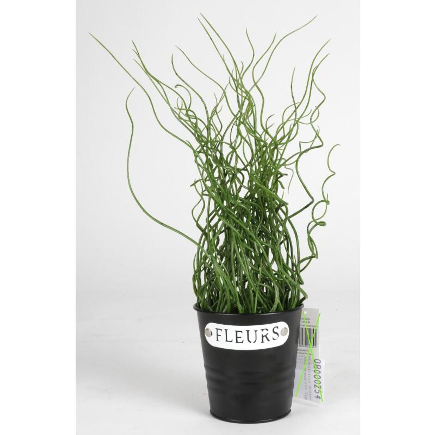 Kunstpflanze 12 Stück Künstliches Gräser 38cm Kunstblume Pflanze Gras