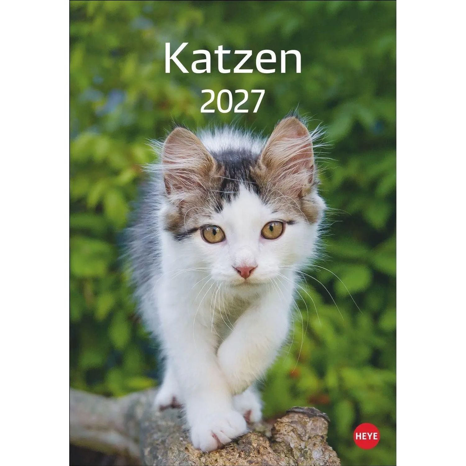 HEYE Wandkalender Katzen Kalender 2027