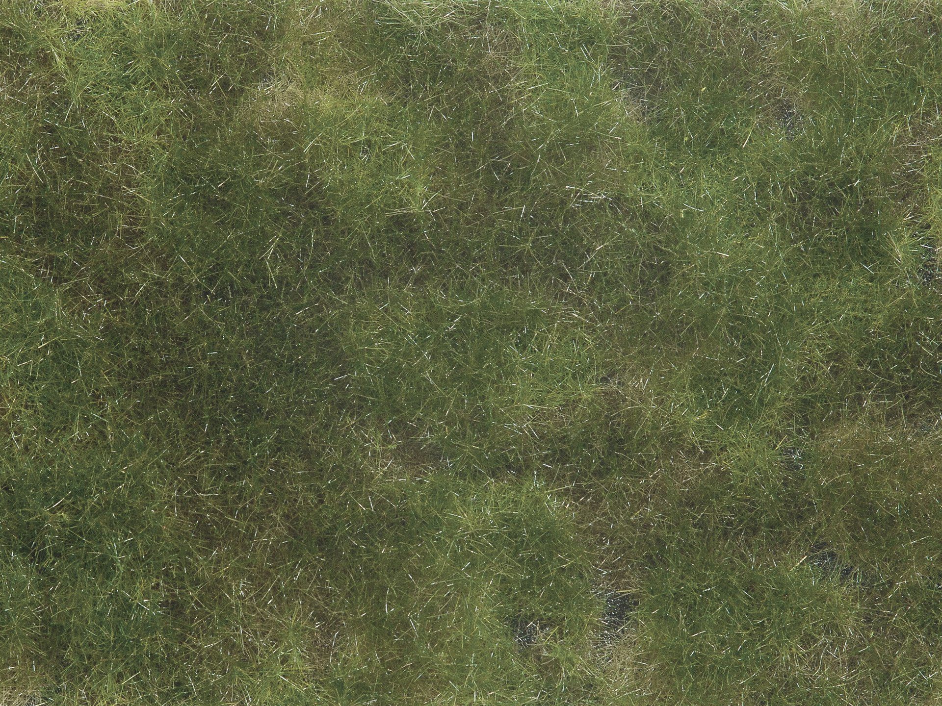 NOCH Modelleisenbahn-Streumaterial Bodendecker-Foliage olivgrün, für realistischen Mo, Foliage