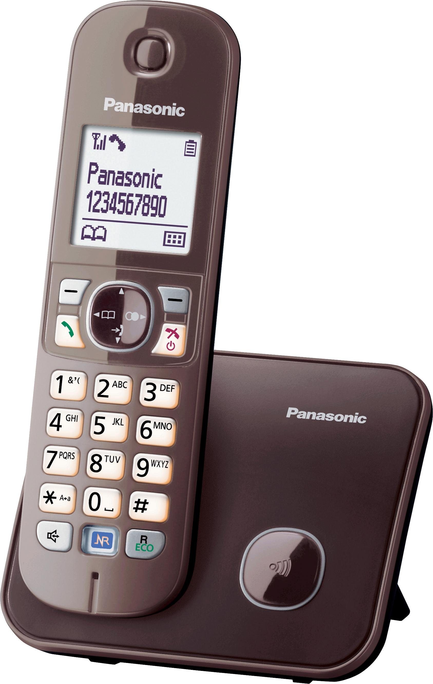 Panasonic KX-TG6811GS Schnurloses DECT-Telefon (Mobilteile: 1, mit Anrufer- und Wahlsperre)