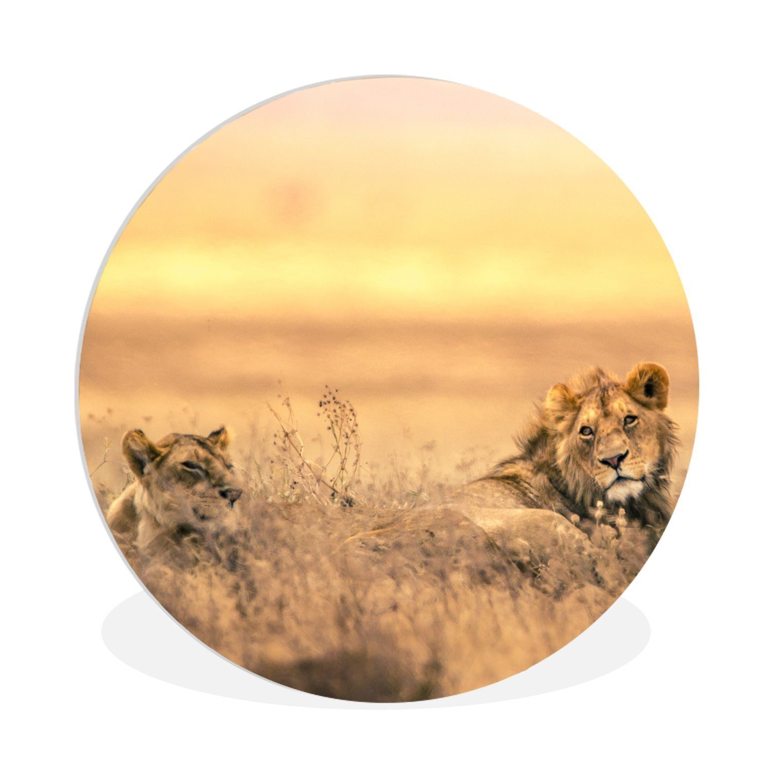 Gemälde Löwen - Gras - Himmel