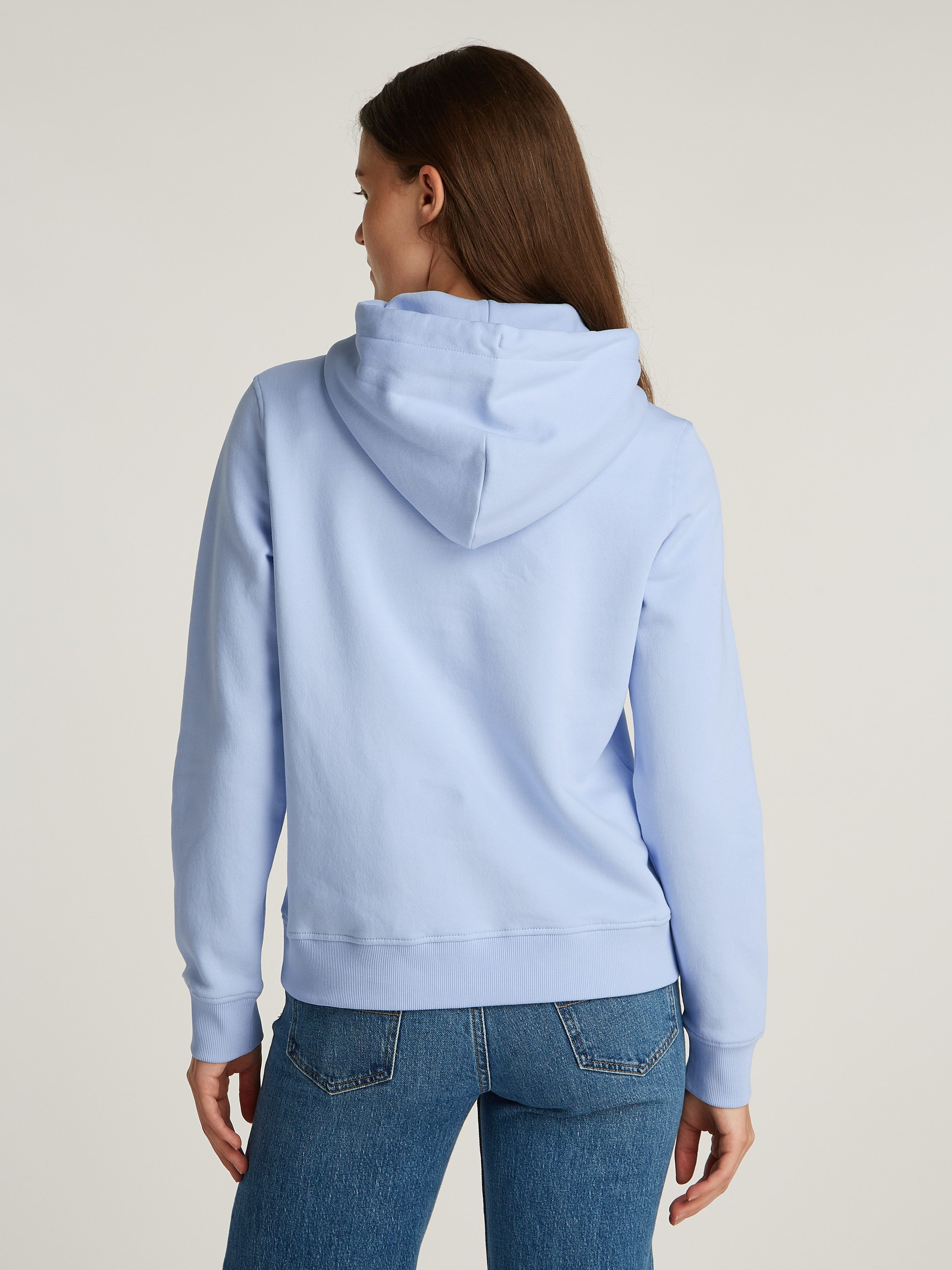 Tommy Jeans Kapuzensweatshirt TJW REG LINEAR günstig online kaufen
