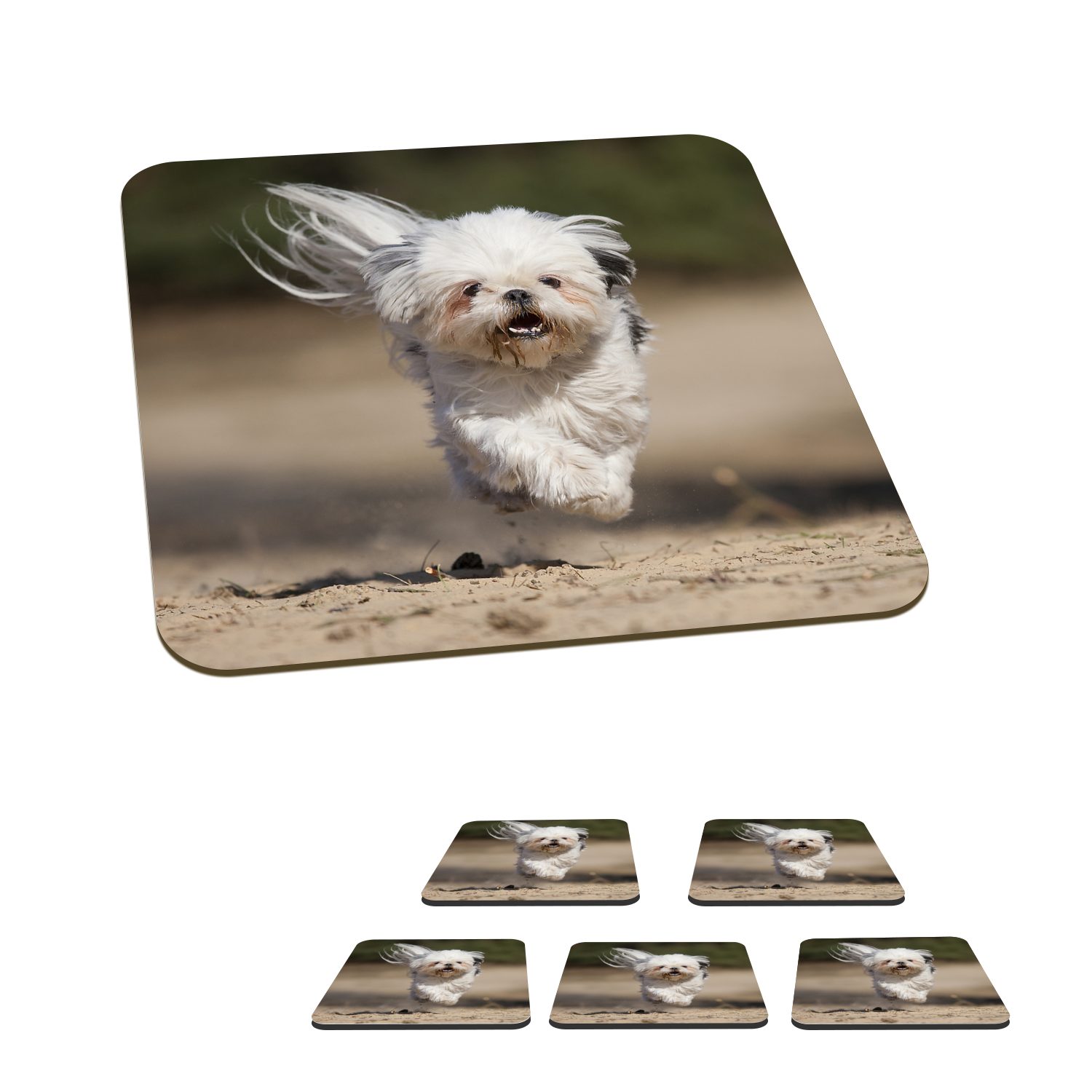 MuchoWow Glasuntersetzer Ein Shih Tzu Hund schwebt mit seinen Beinen über dem Boden, Zubehör für Gläser, 6-tlg., Glasuntersetzer, Tischuntersetzer, Korkuntersetzer, Untersetzer, Tasse